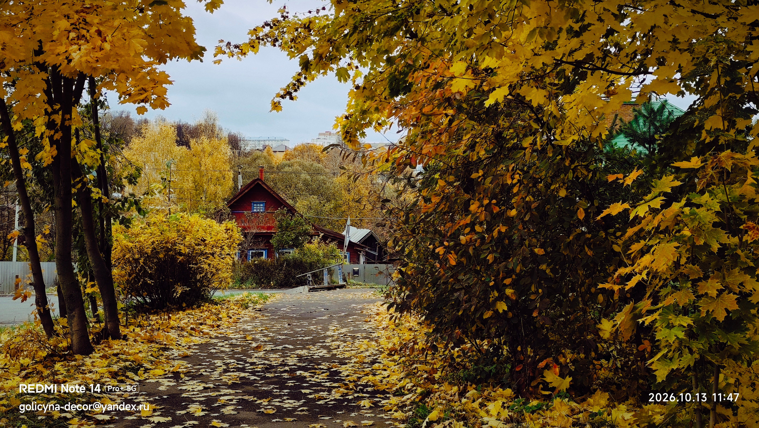 Фотокарточки моментов. Фотограф Светлана Голицына
