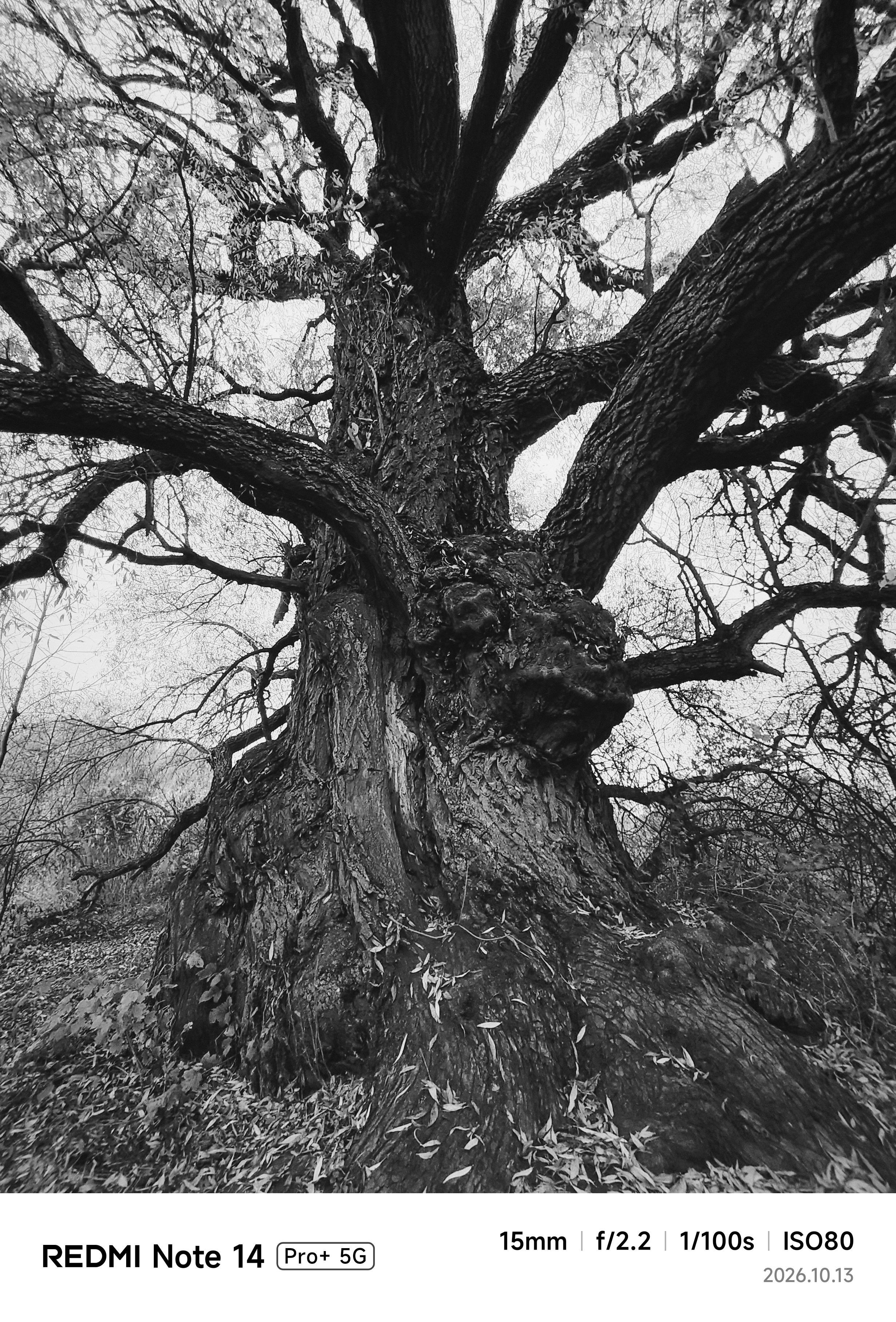 Фотокарточки моментов. Фотограф Светлана Голицына