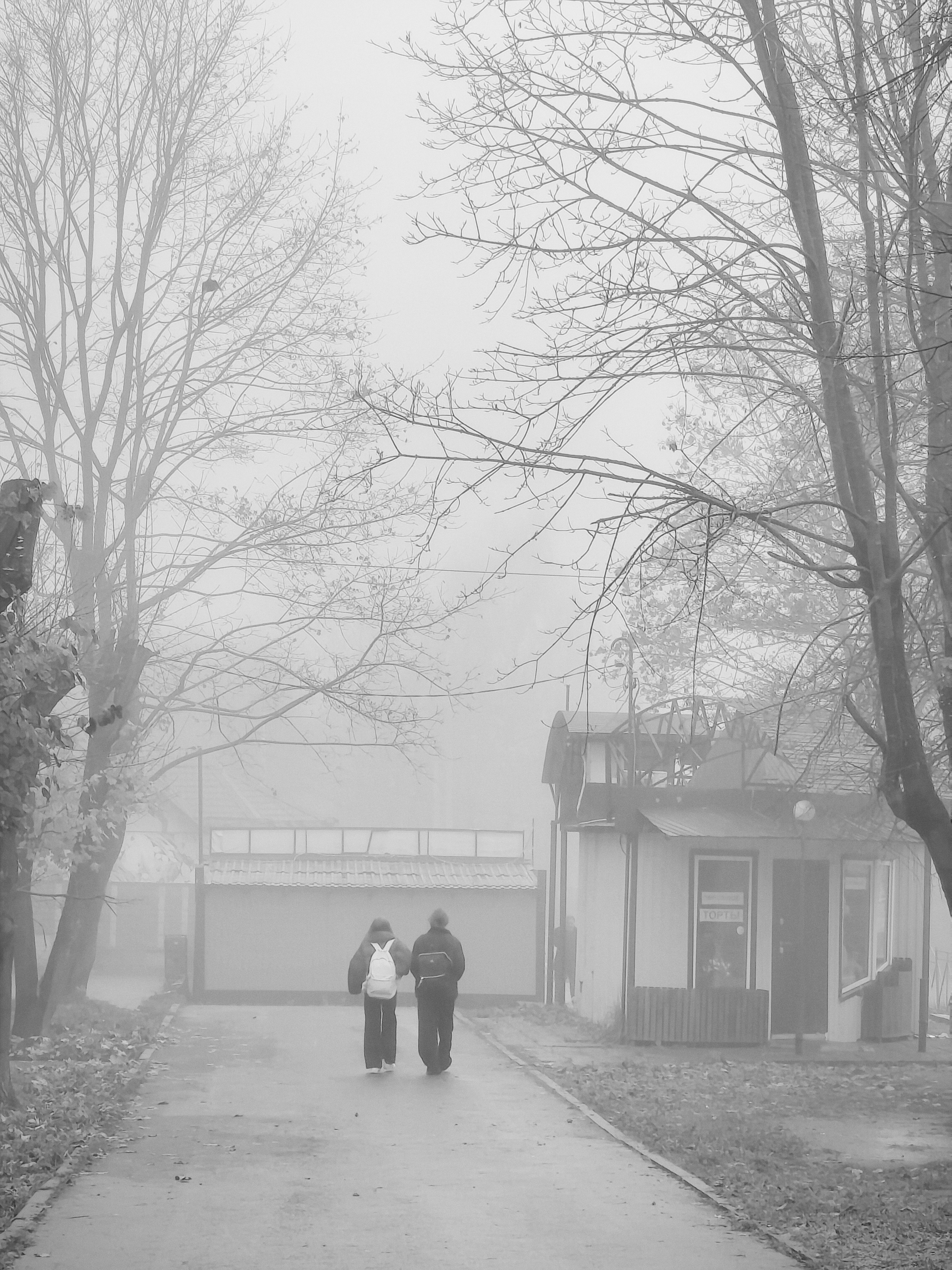 Фотокарточки моментов. Фотограф Светлана Голицына