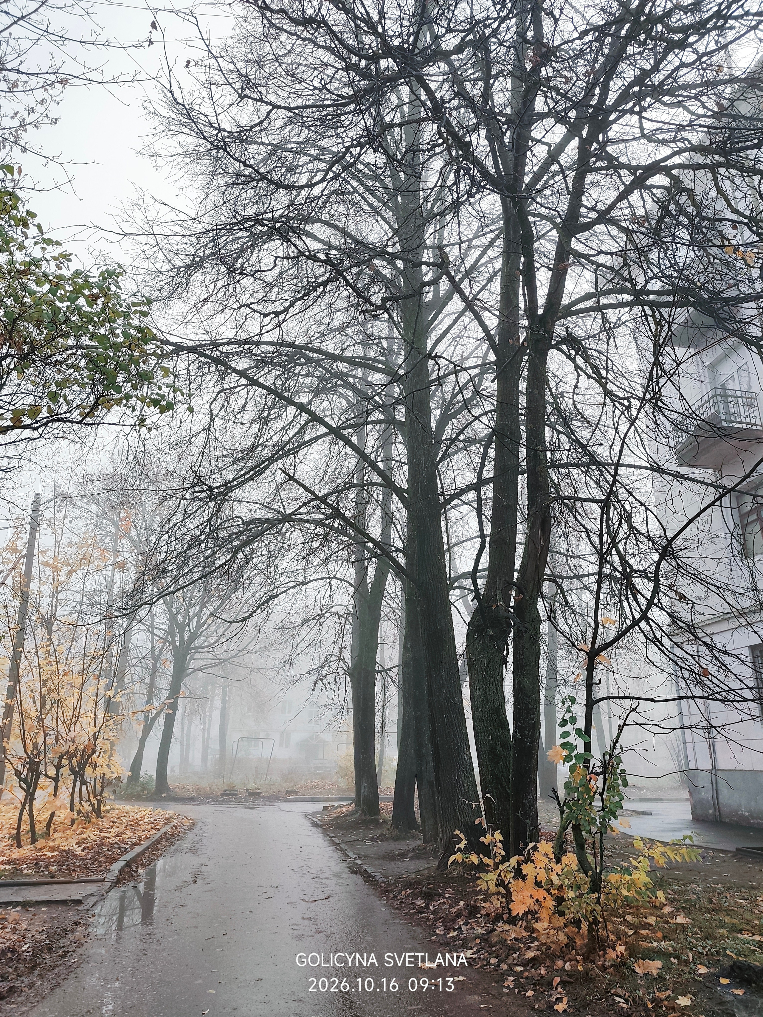 Фотокарточки моментов. Фотограф Светлана Голицына