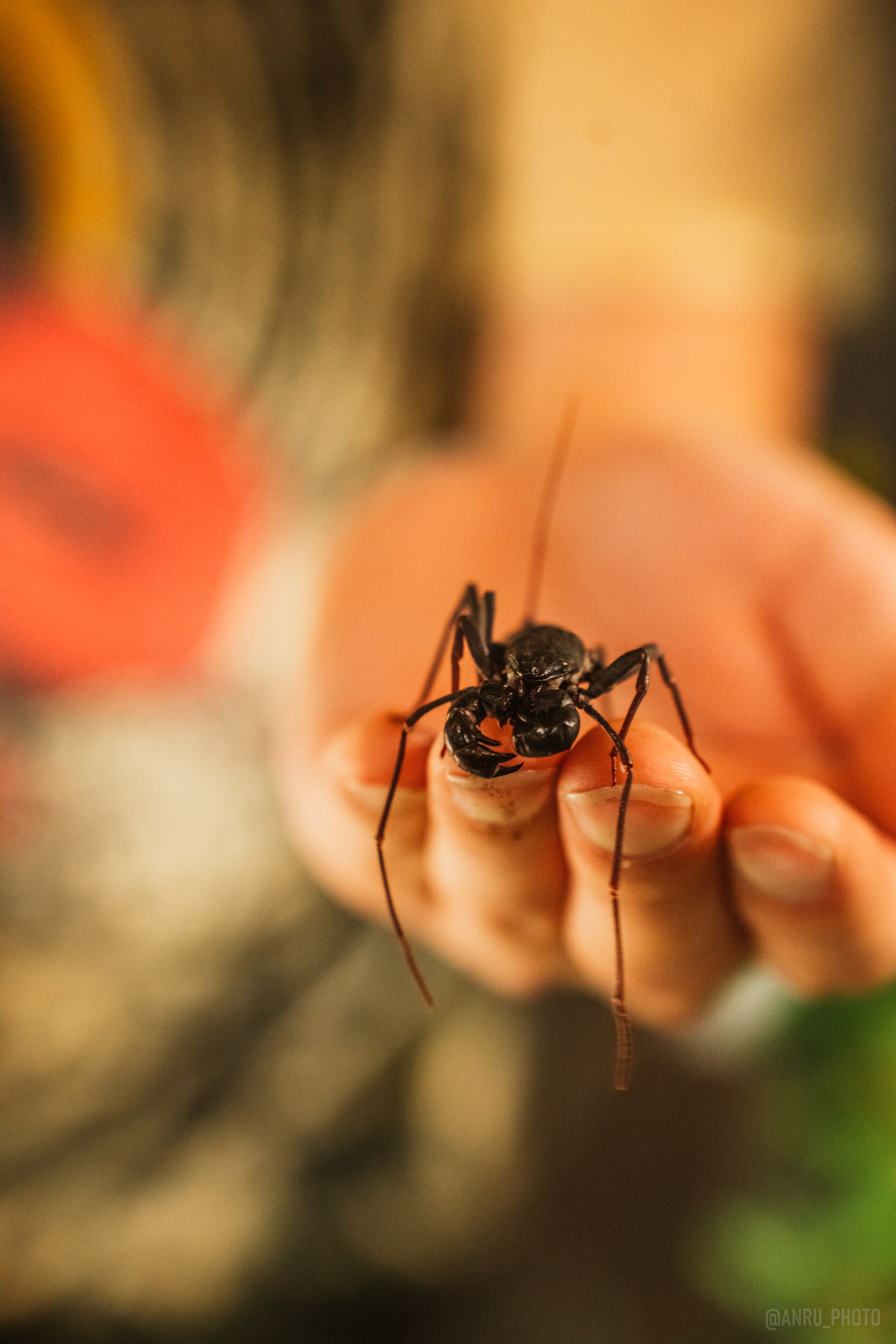 Рептилиум. Репортажный фотограф Анастасия Рубцова