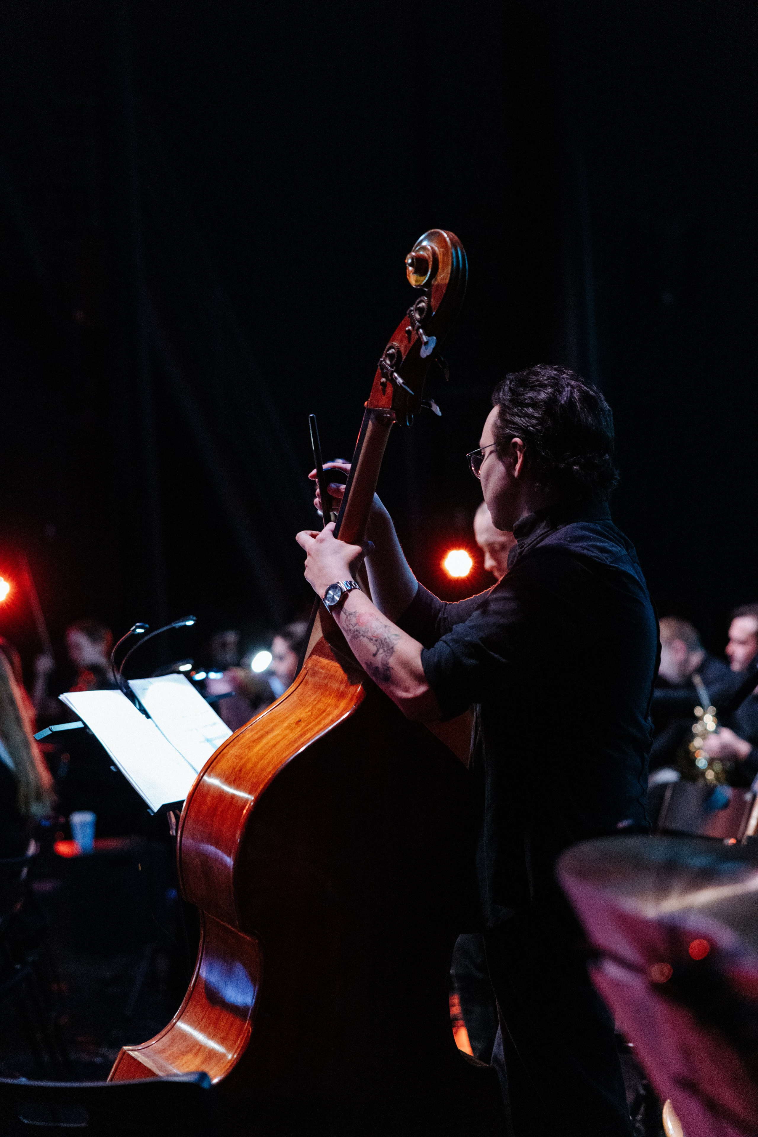 Симфомультимедия. Фотограф Петрова Мария