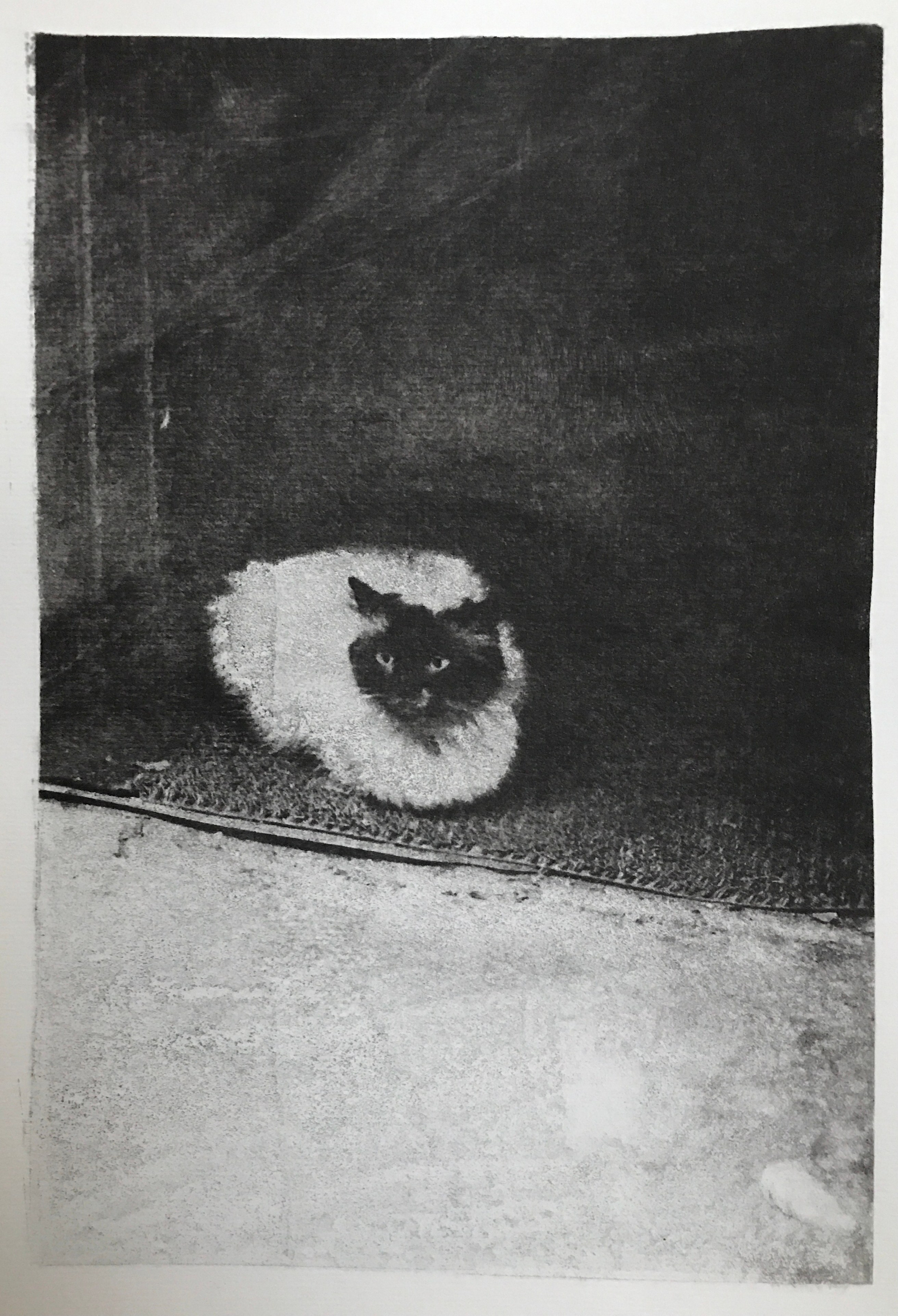 Непарадный Петербург — серия работ, выполненных в период с 1998–2001 год. Портретная фотосъёмка, репортажная, контент для вашего бизнеса