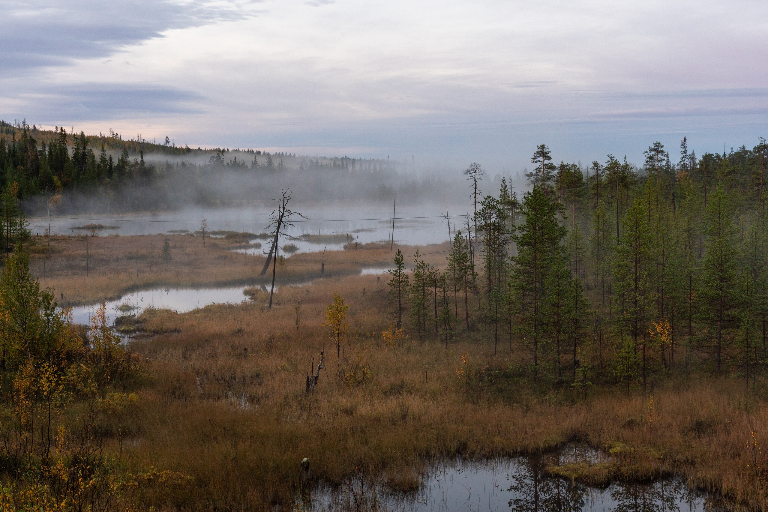 Золотая осень в Хибинах. Daria wanderer photography