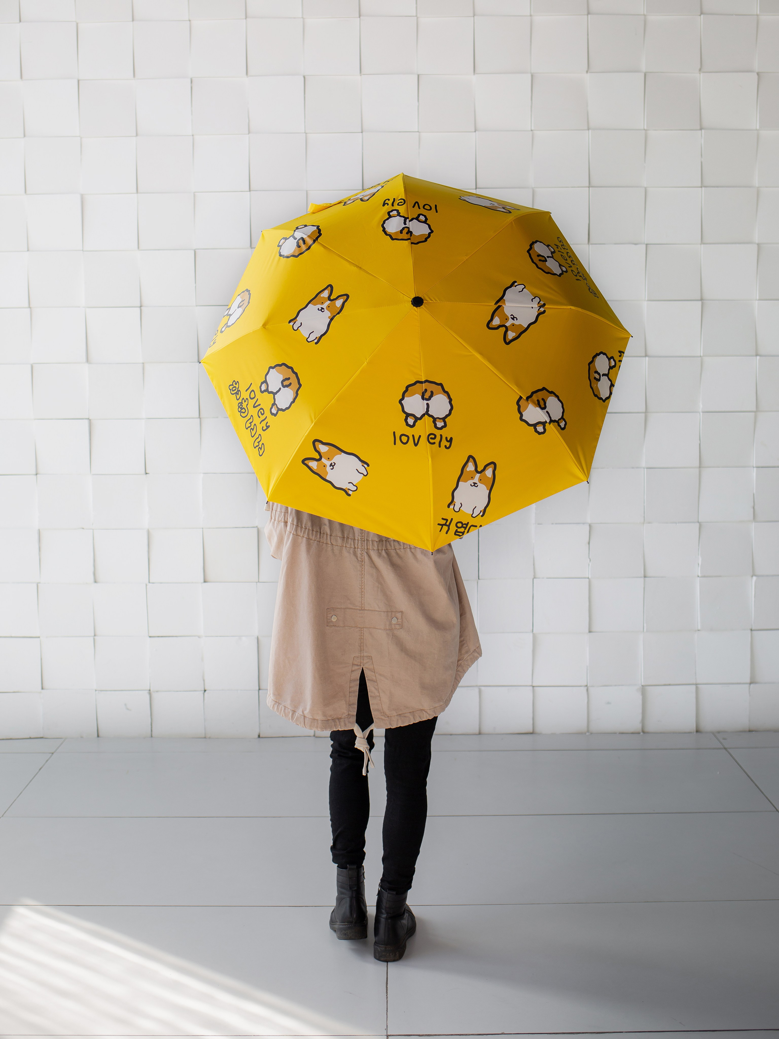 Зонты. Семейный фотограф Николаева Ольга