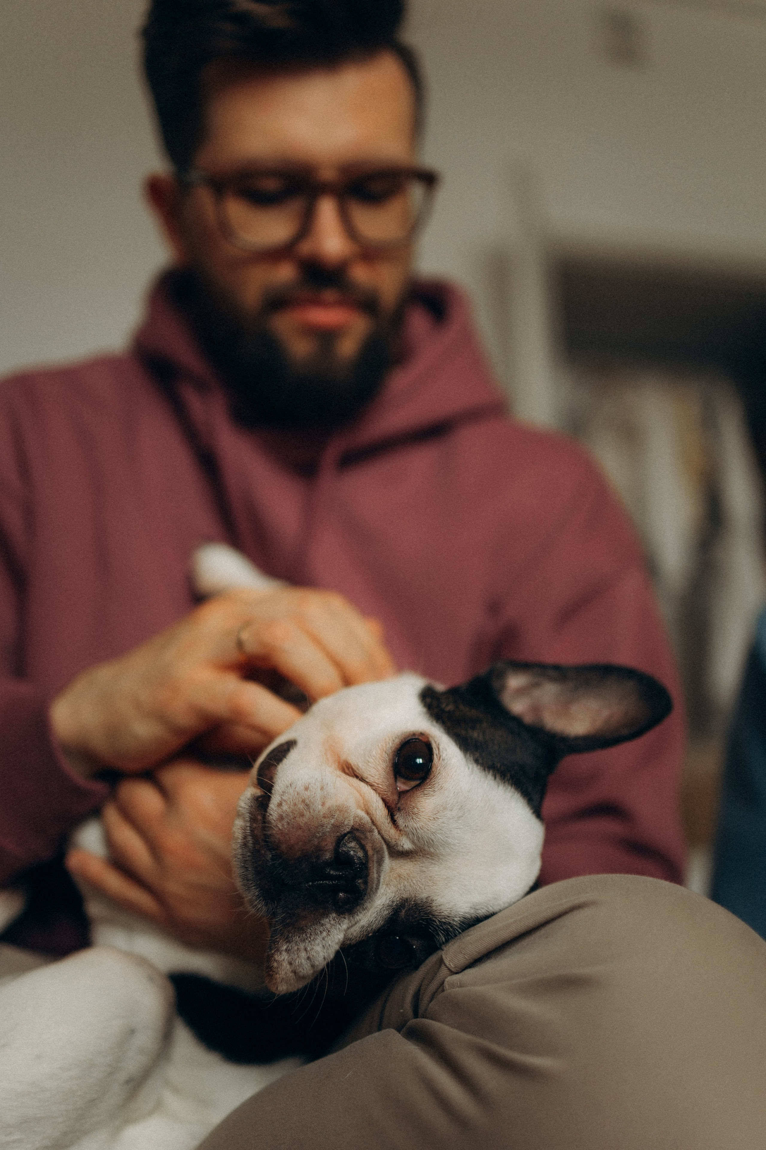 Зефирка, Булка и их Ро. Фотораф — анималист Мария Шистка