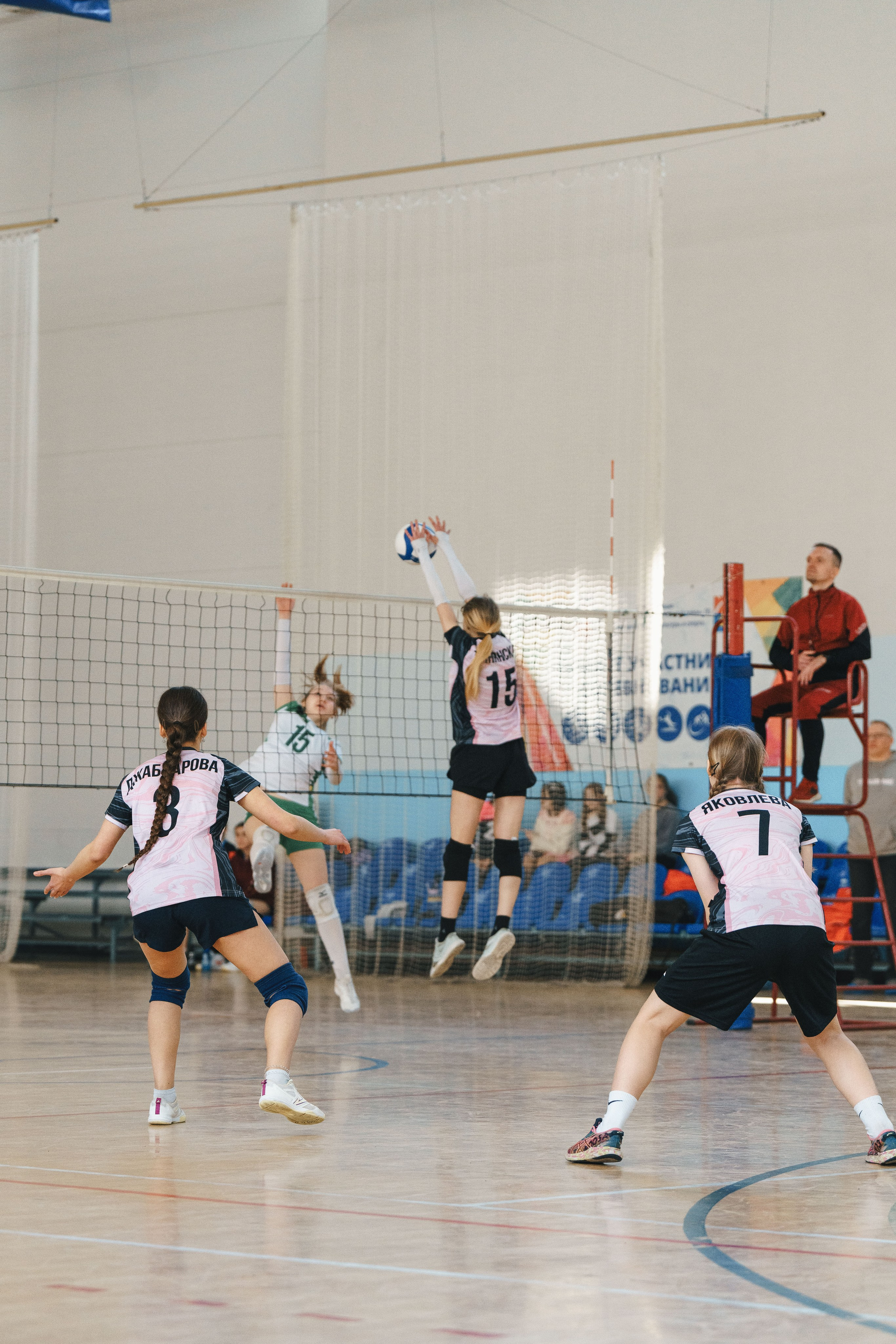 Волейбол торус. Фотограф-анималист в Санкт-Петербурге