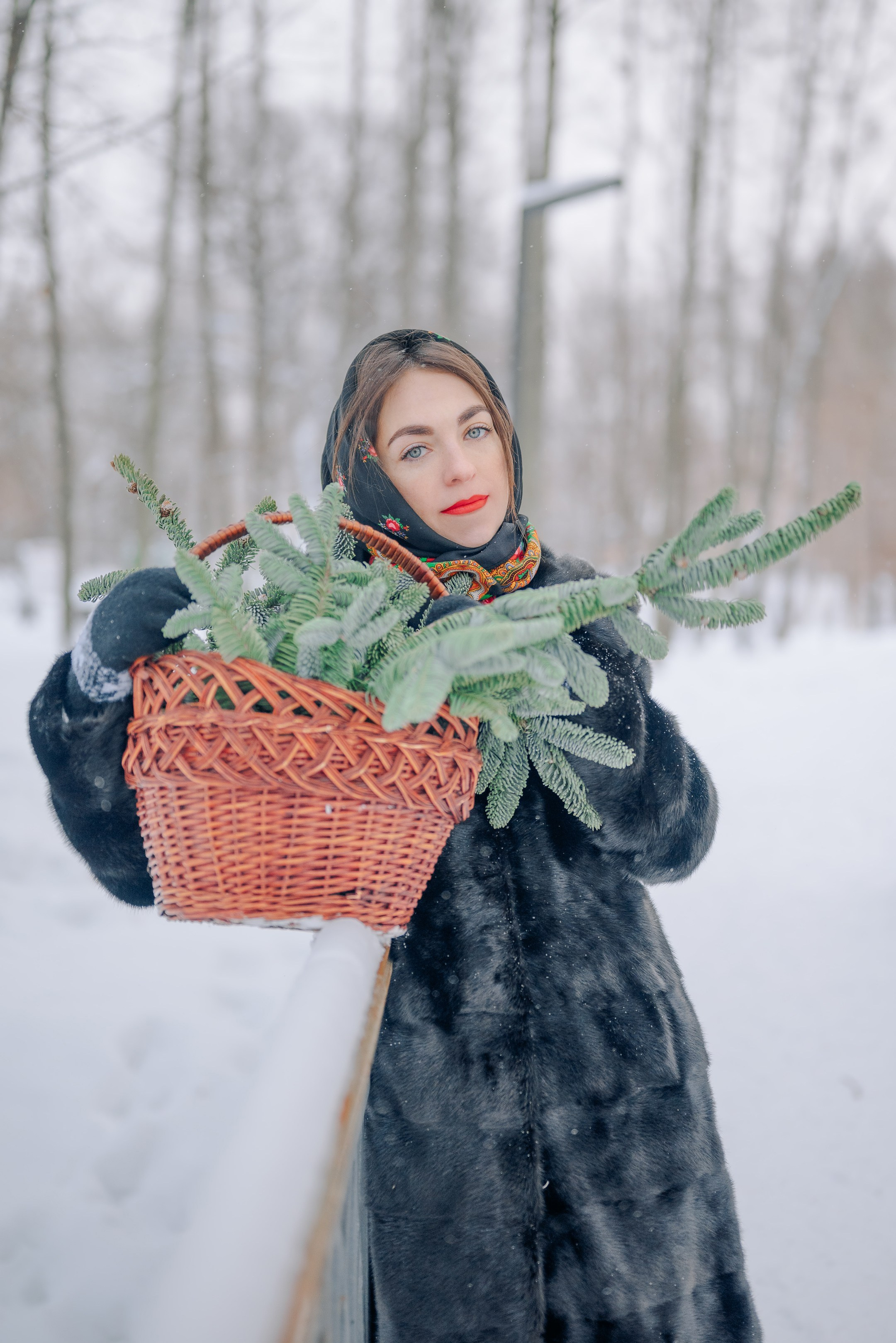 Звенит январская вьюга. Дарья Медведева