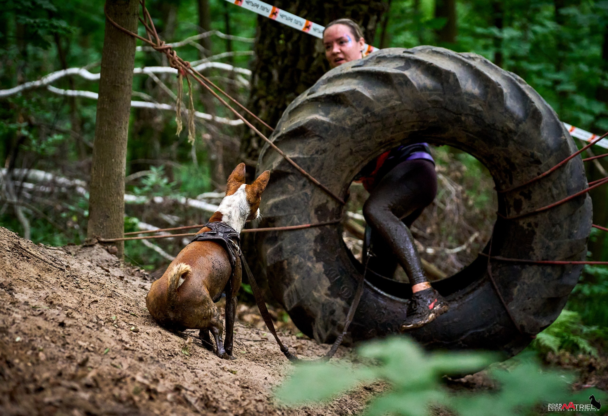 Russian Extreme Dog Trail — 2025