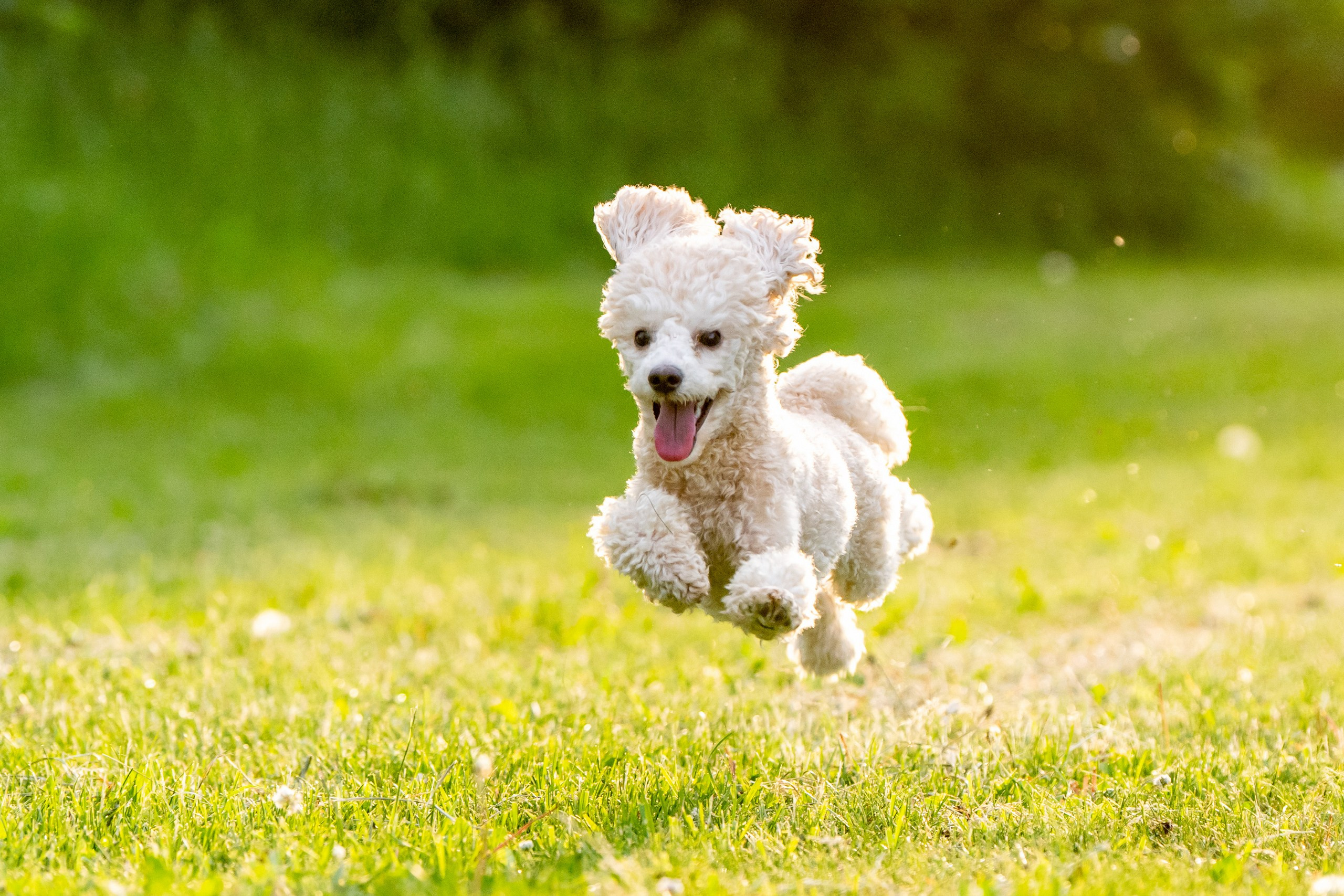 Тематические фотосъёмки на заказ. Foto-Zuev фотография как искусство
