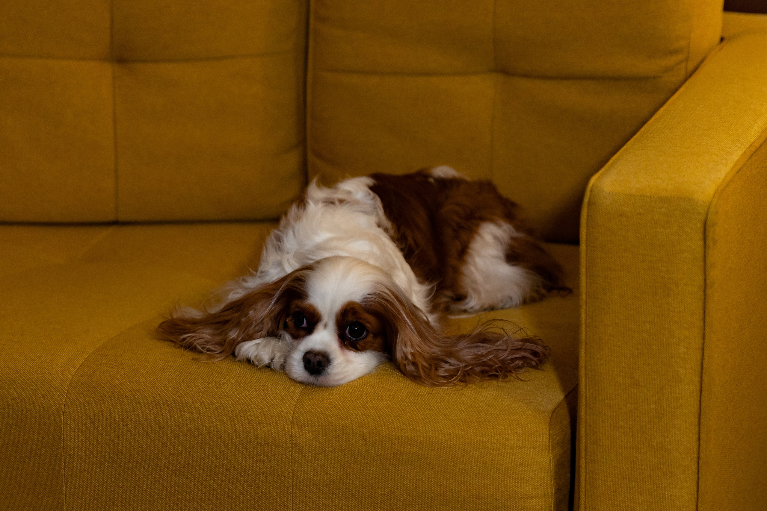 Love Story в отеле. Семейный и детский фотограф в Краснознаменске Виктория Санкина