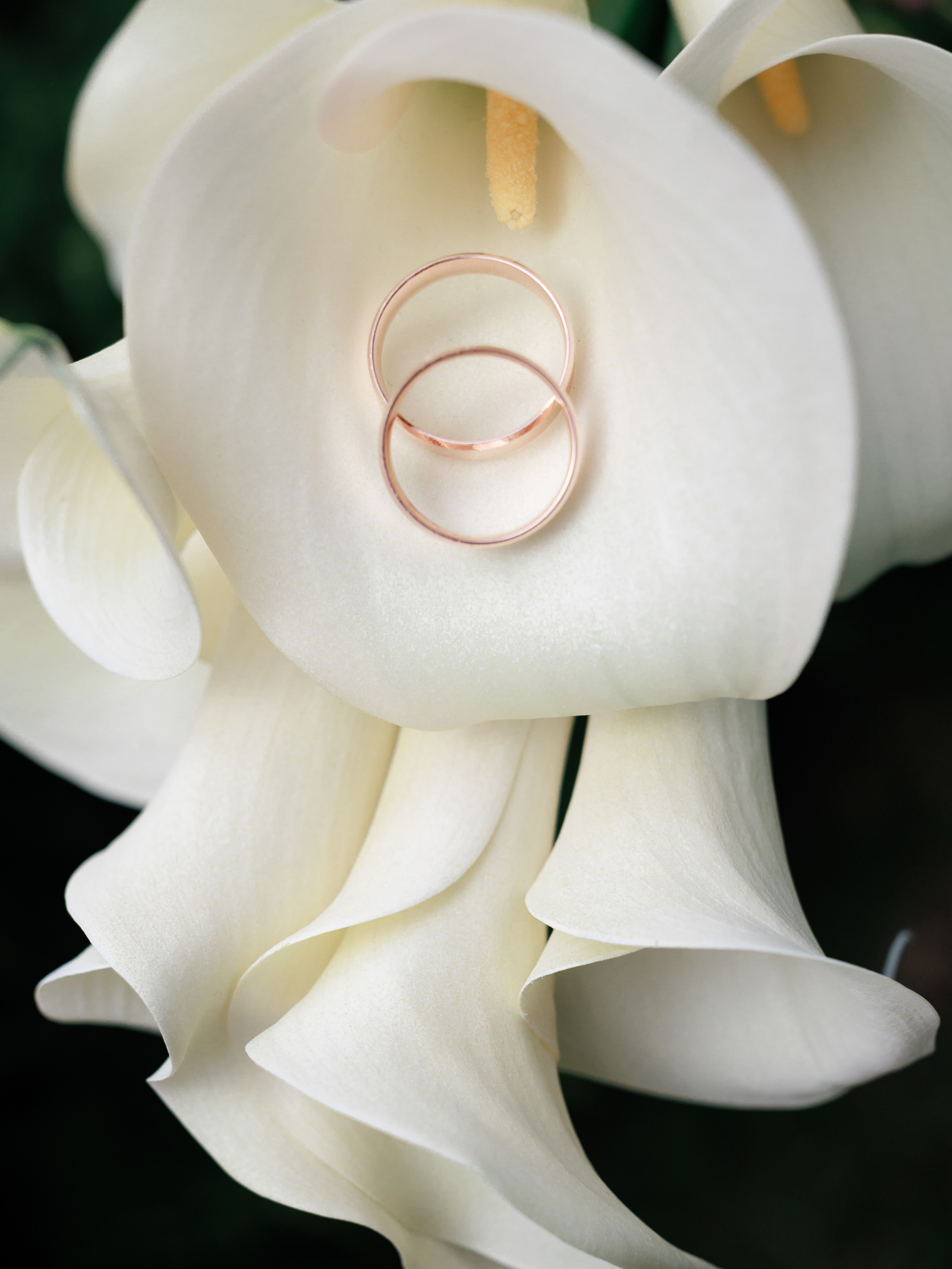 С и Ж. Фотограф Олег Сотник