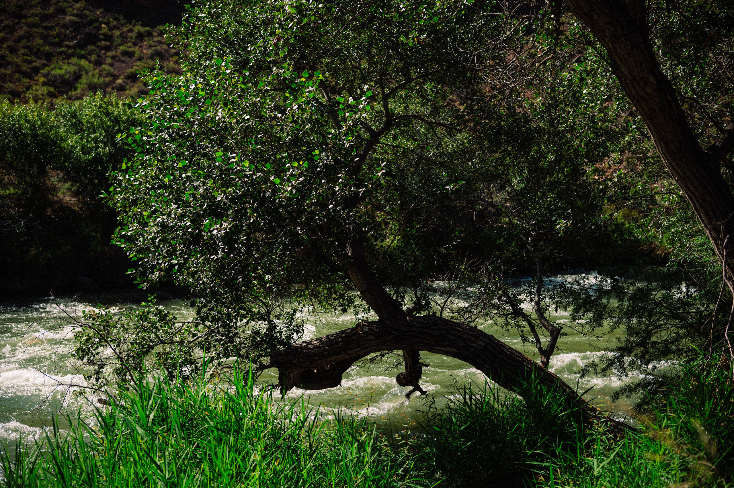 Чарын-Кольсай: лето 2024. Фотограф в Алматы — Дарья Фёдорова