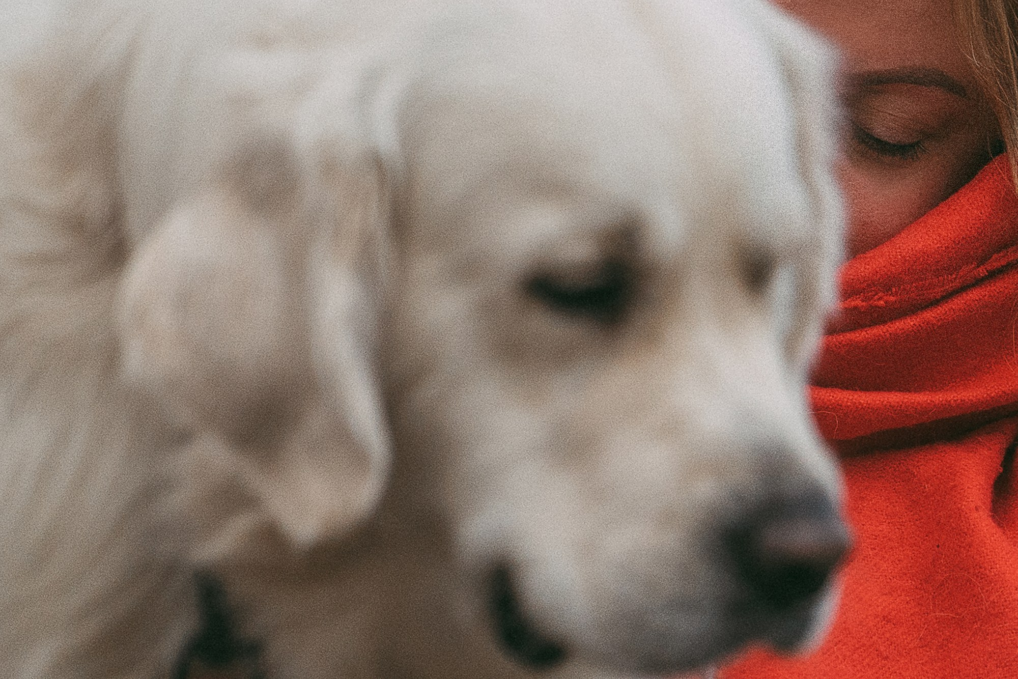 Лена и Мерлин. Фотограф анималист в Москве и Санкт-Петербурге Свиридова Анна