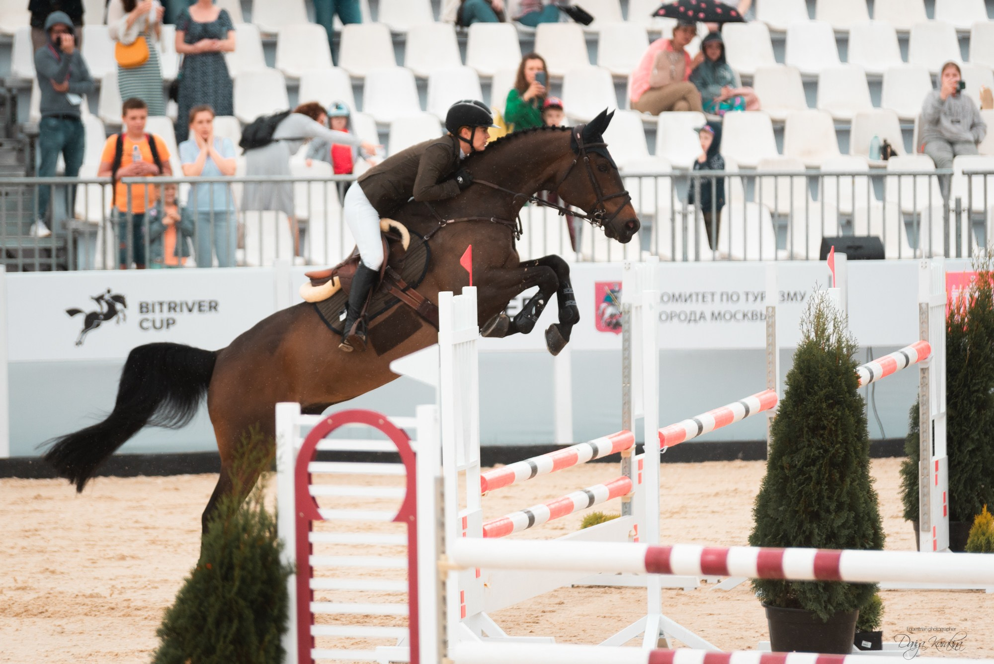 BITRIVER CUP 2023. Конный фотограф Куракина Дарья • Фотосессии с лошадьми