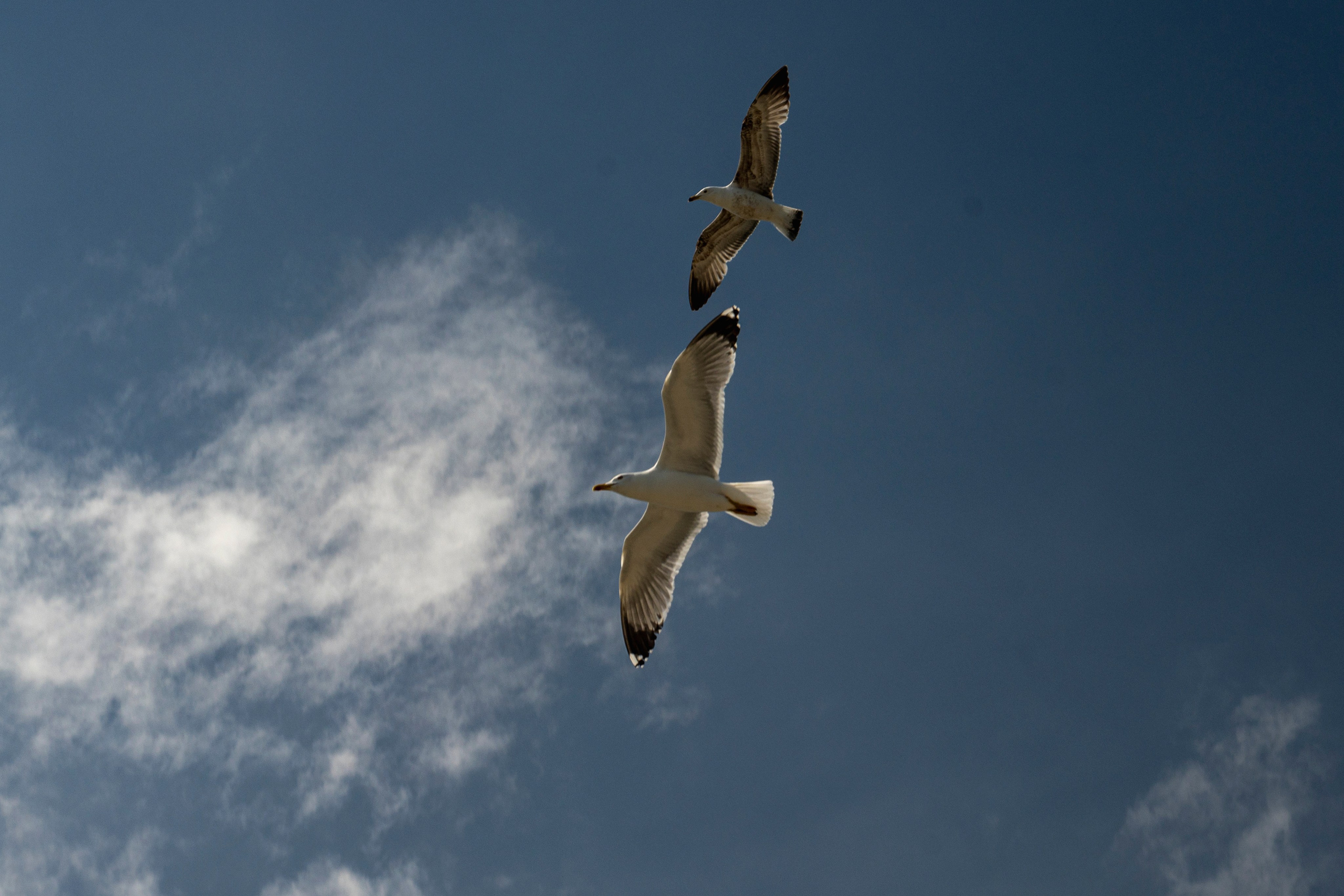 Крым май 2022. Фотограф Роман Адлер