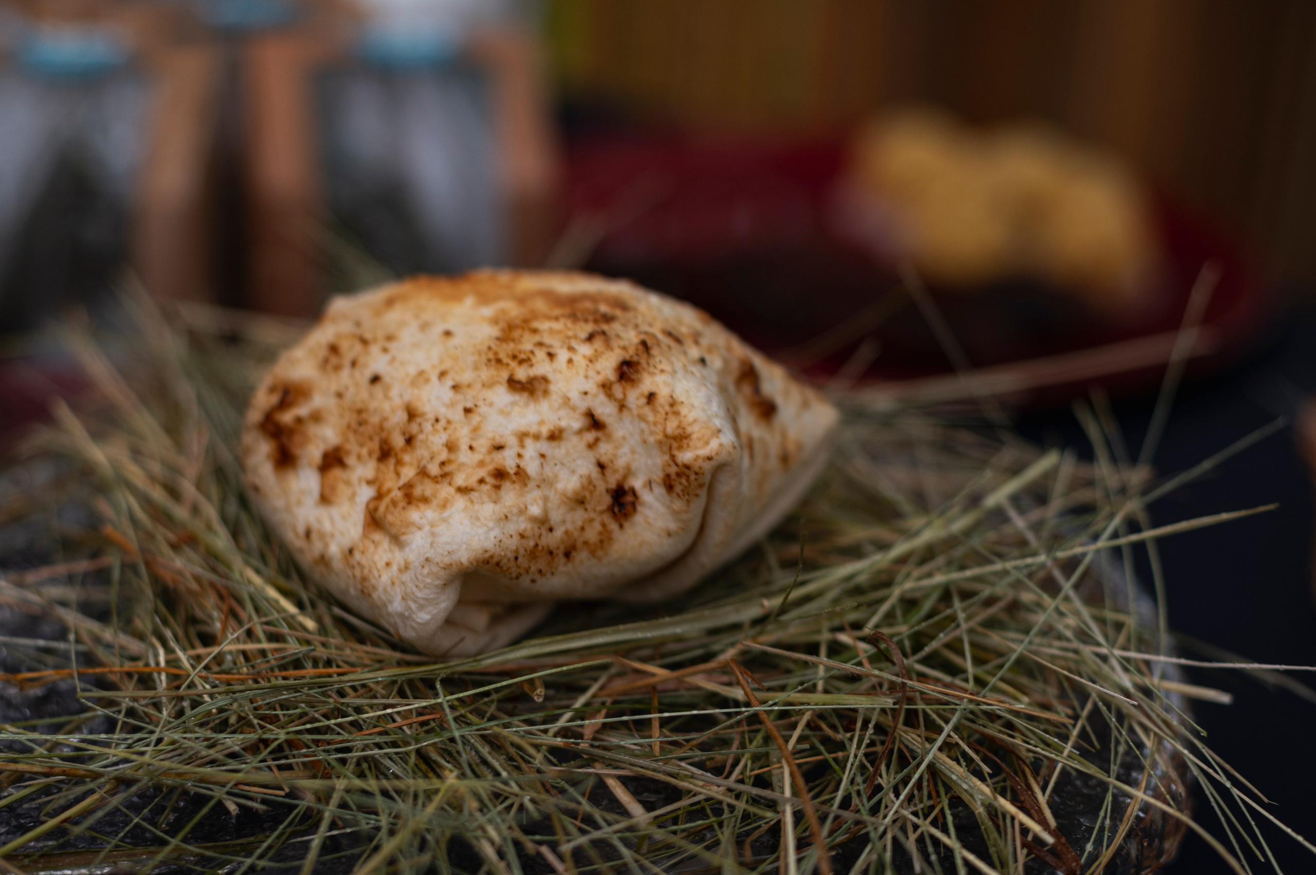 Казань. Сентябрь 2022. Фотограф Роман Адлер