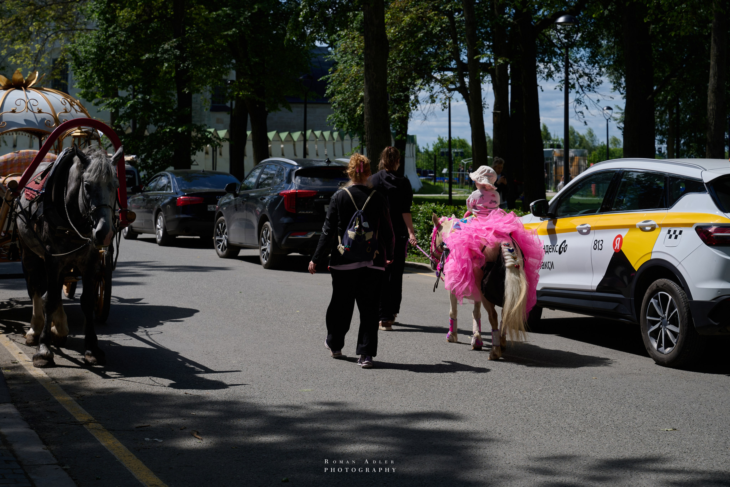 Суздаль. Июнь 2025. Фотограф Роман Адлер