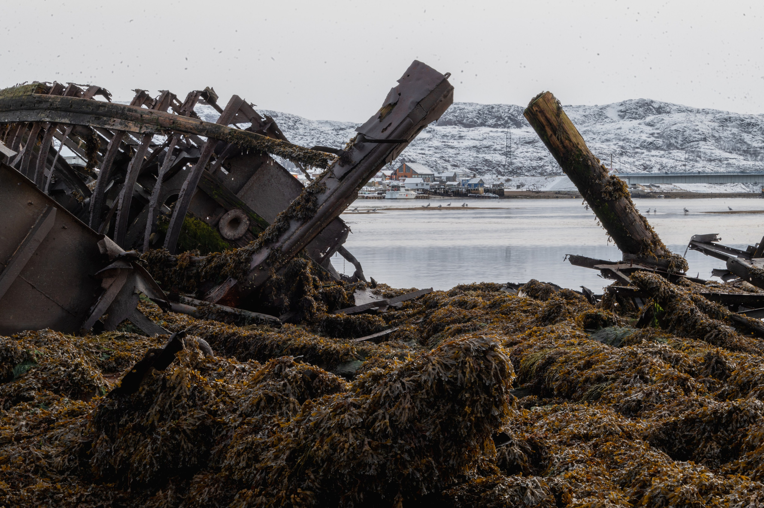 Териберка. Ноябрь 2023. Фотограф Роман Адлер