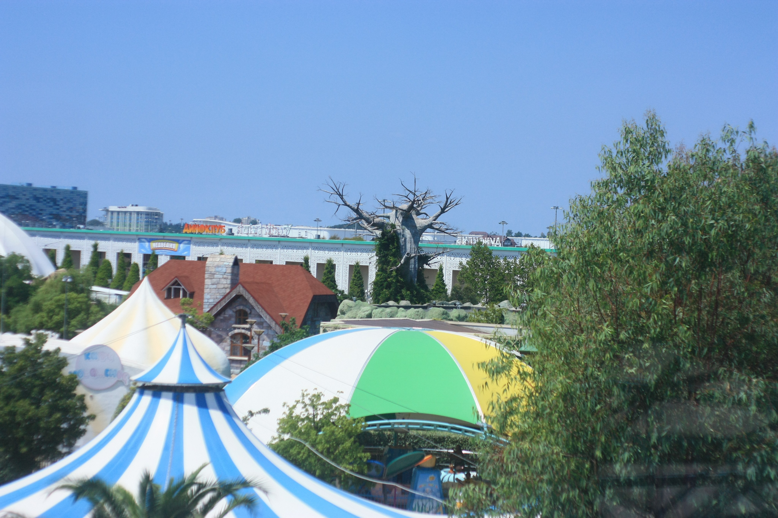 Первые кадры. Сочи — парк. Фотограф Роман Адлер