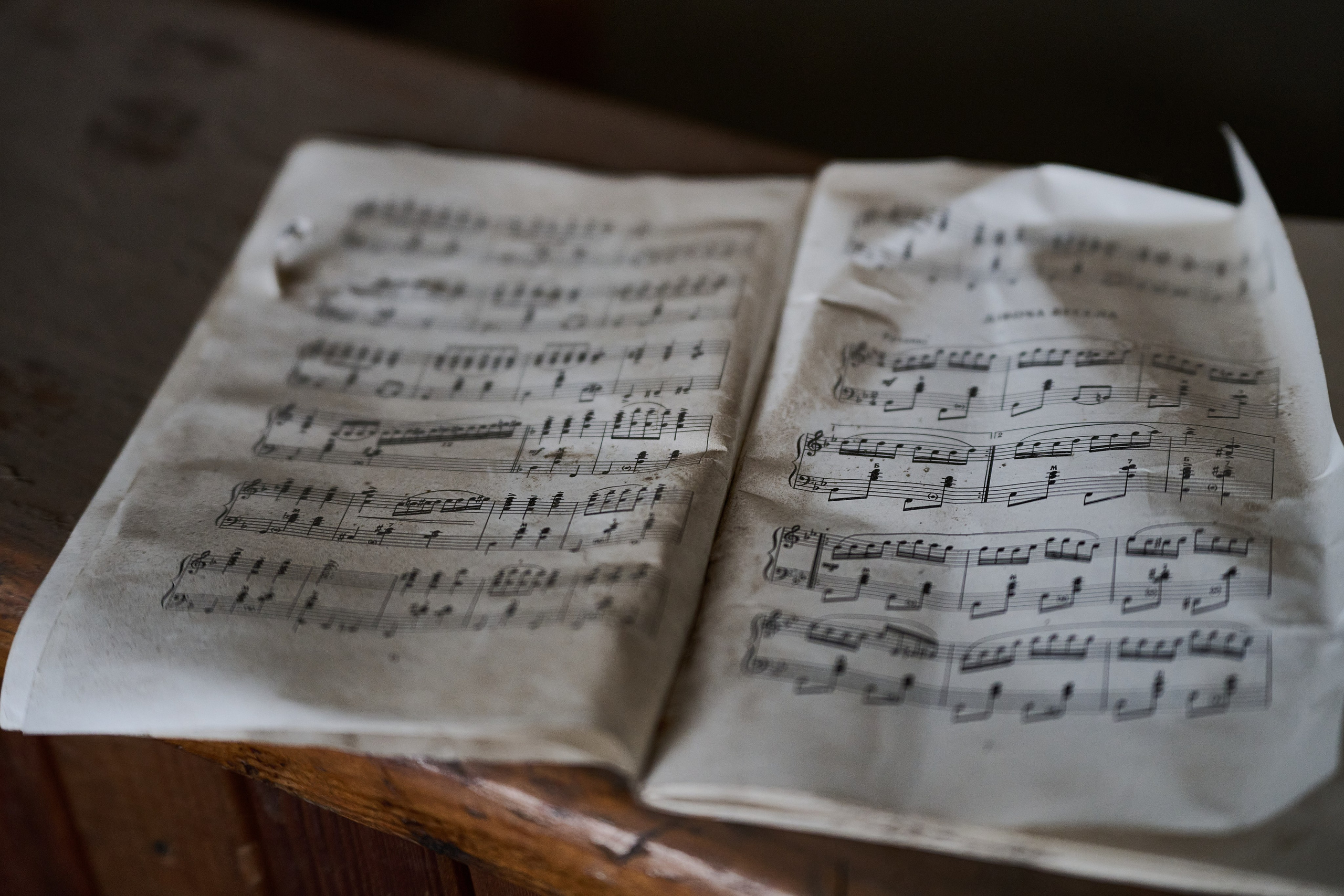 Краснореченское (Луганская область). Ноябрь 2024. Фотограф Роман Адлер