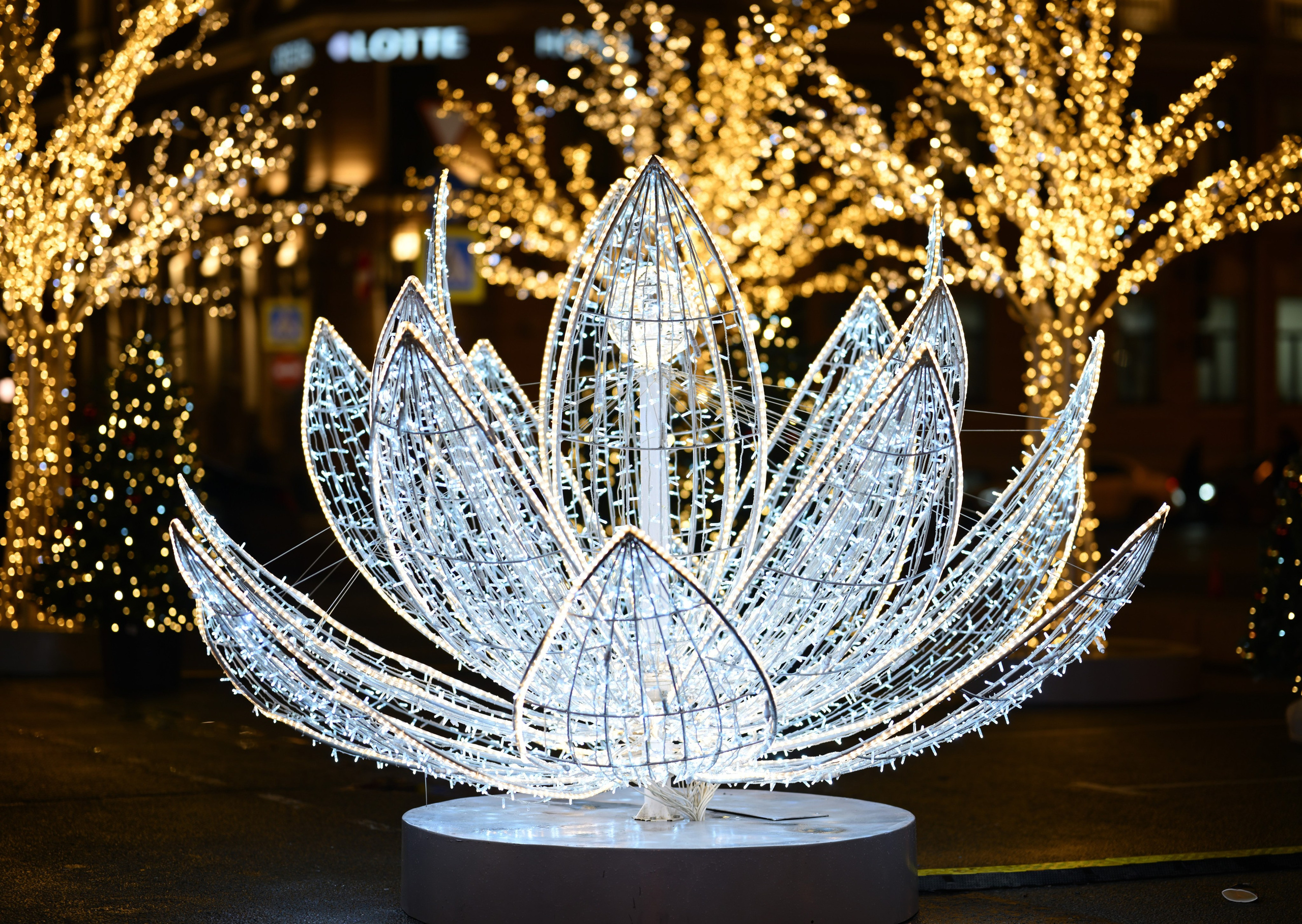 Фотосессии в центре и в парках Санкт-Петербурга