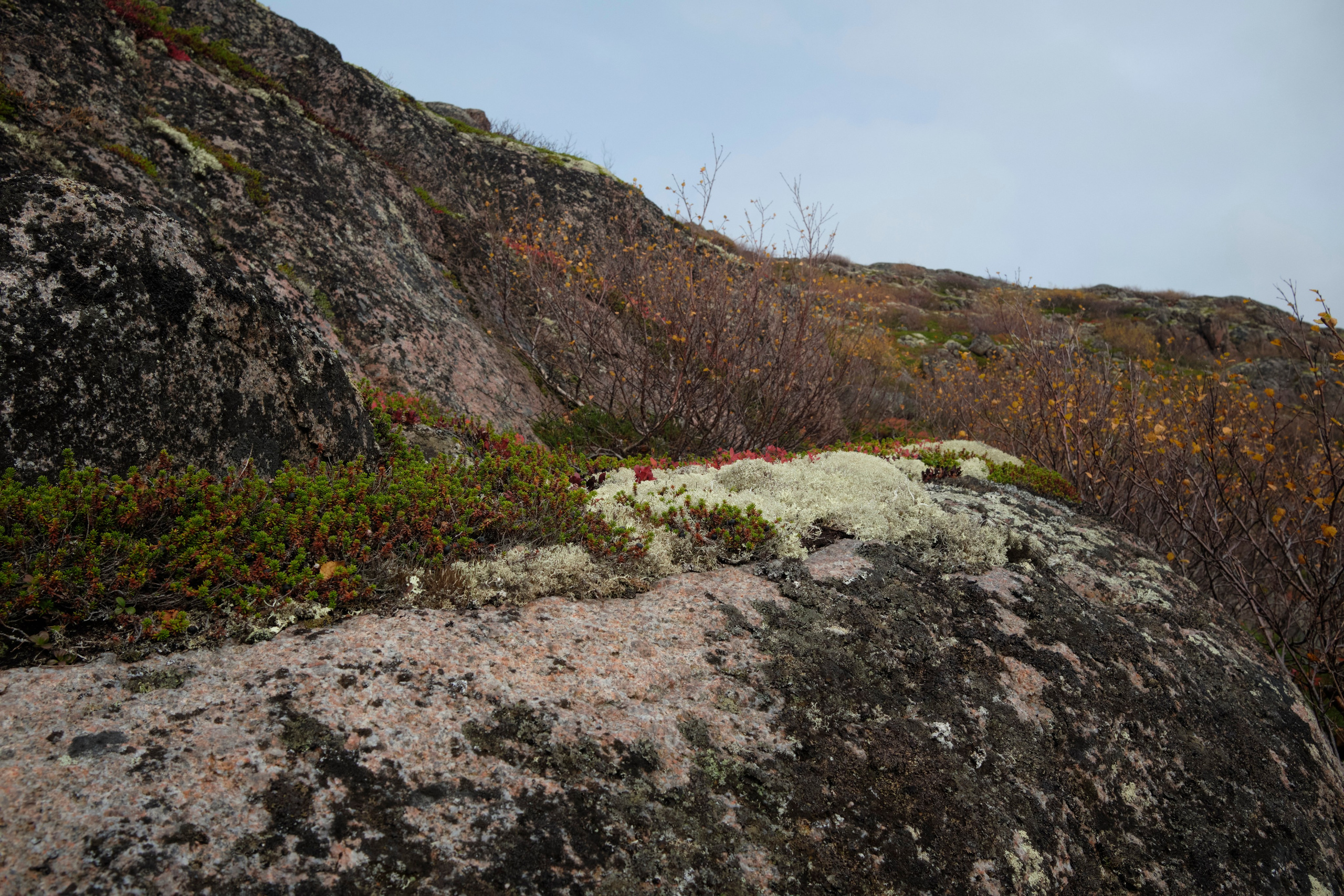 Путешествие в Териберку. Елена Павленко. Фотограф. Москва