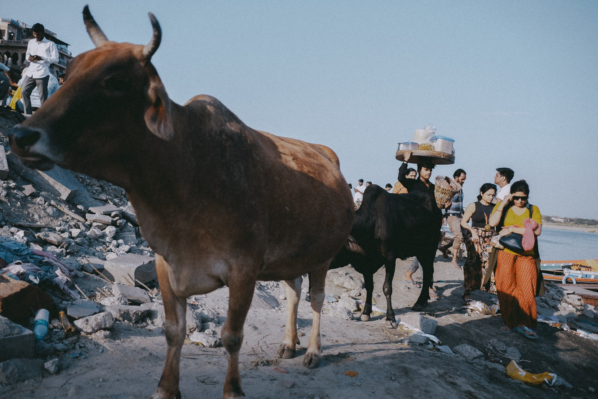 INDIA. Фотограф Дмитрий Олрайт | Калуга, Россия