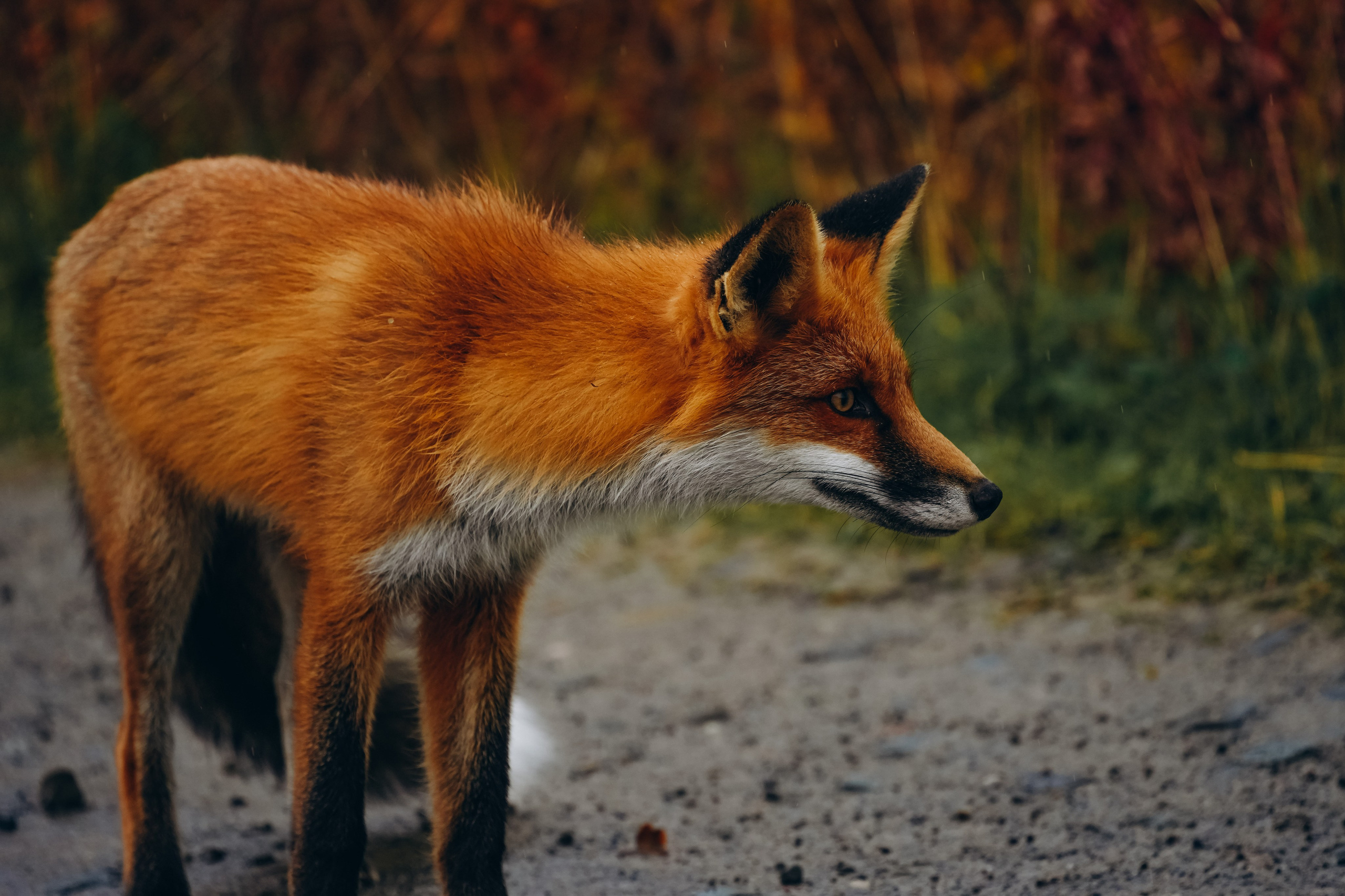 СЕВЕР. Event фотограф Степанова Александра