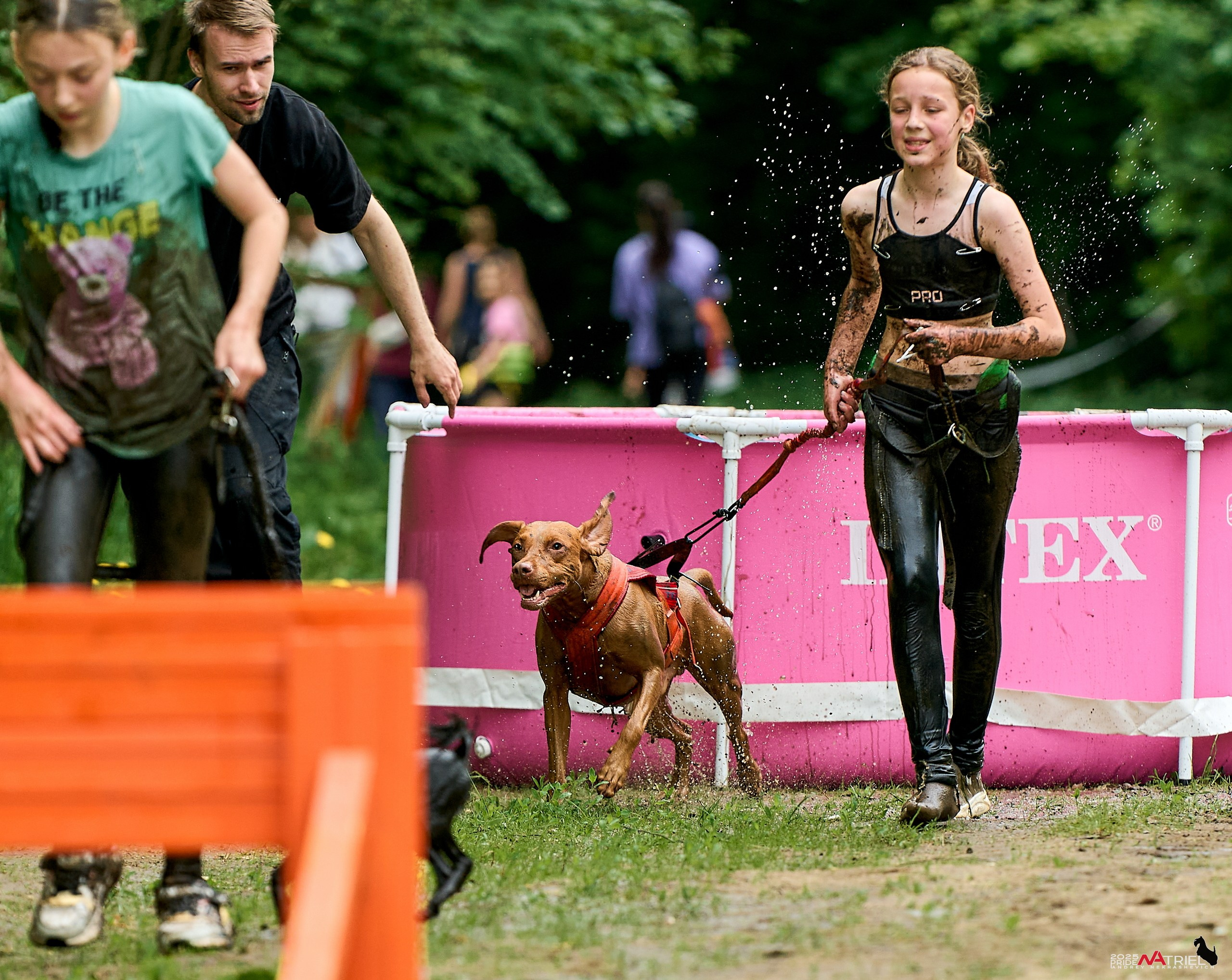 Russian Extreme Dog Trail — 2025