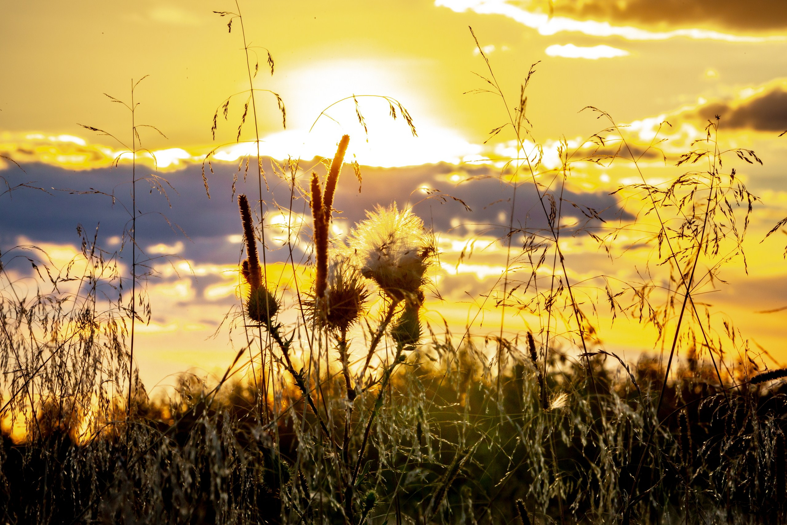 Пейзаж — галерея NATRIEL