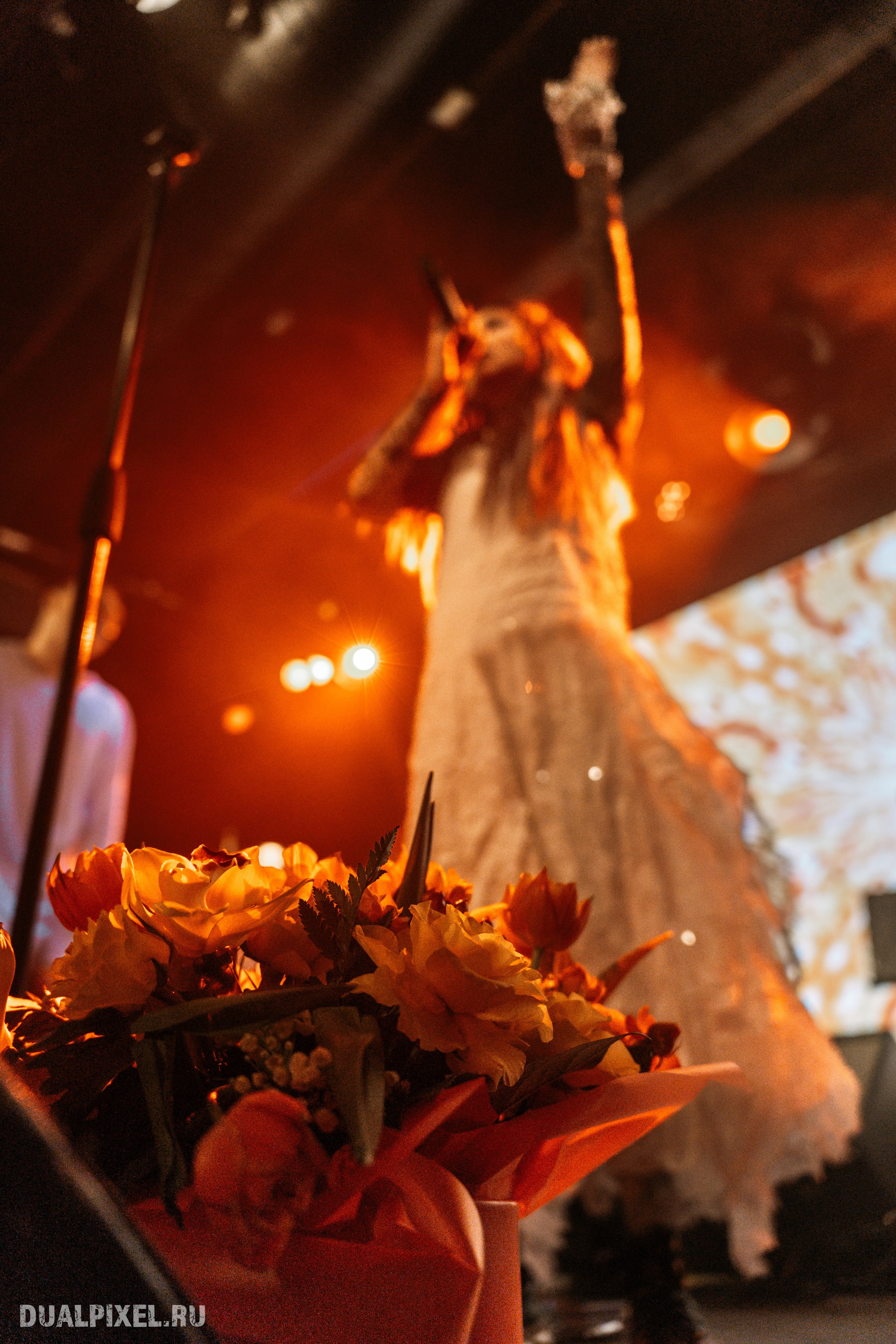 ЛИНДА. Магия музыки в кадре: Концертная Фотография