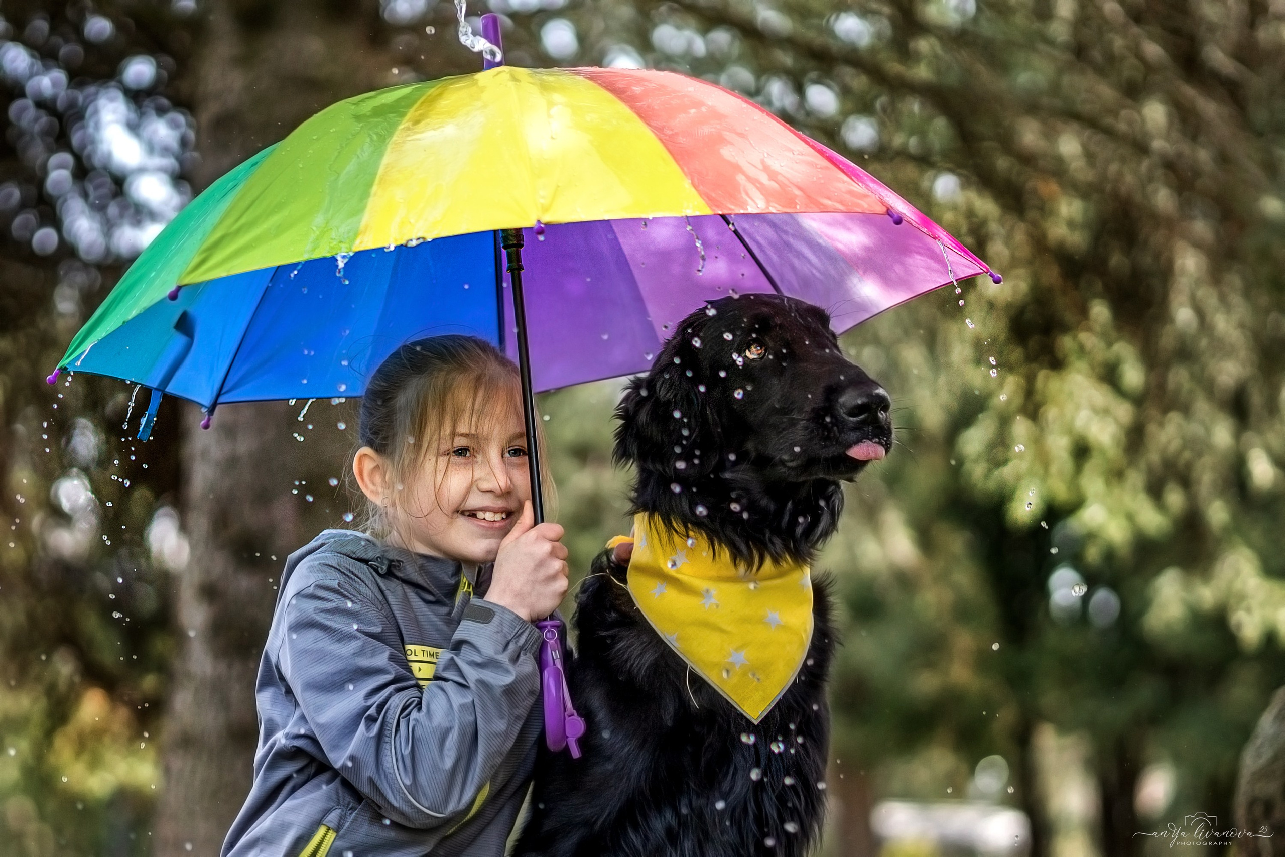 Солнышки. Фотограф анималист Аня Ливанова | Рыбинск