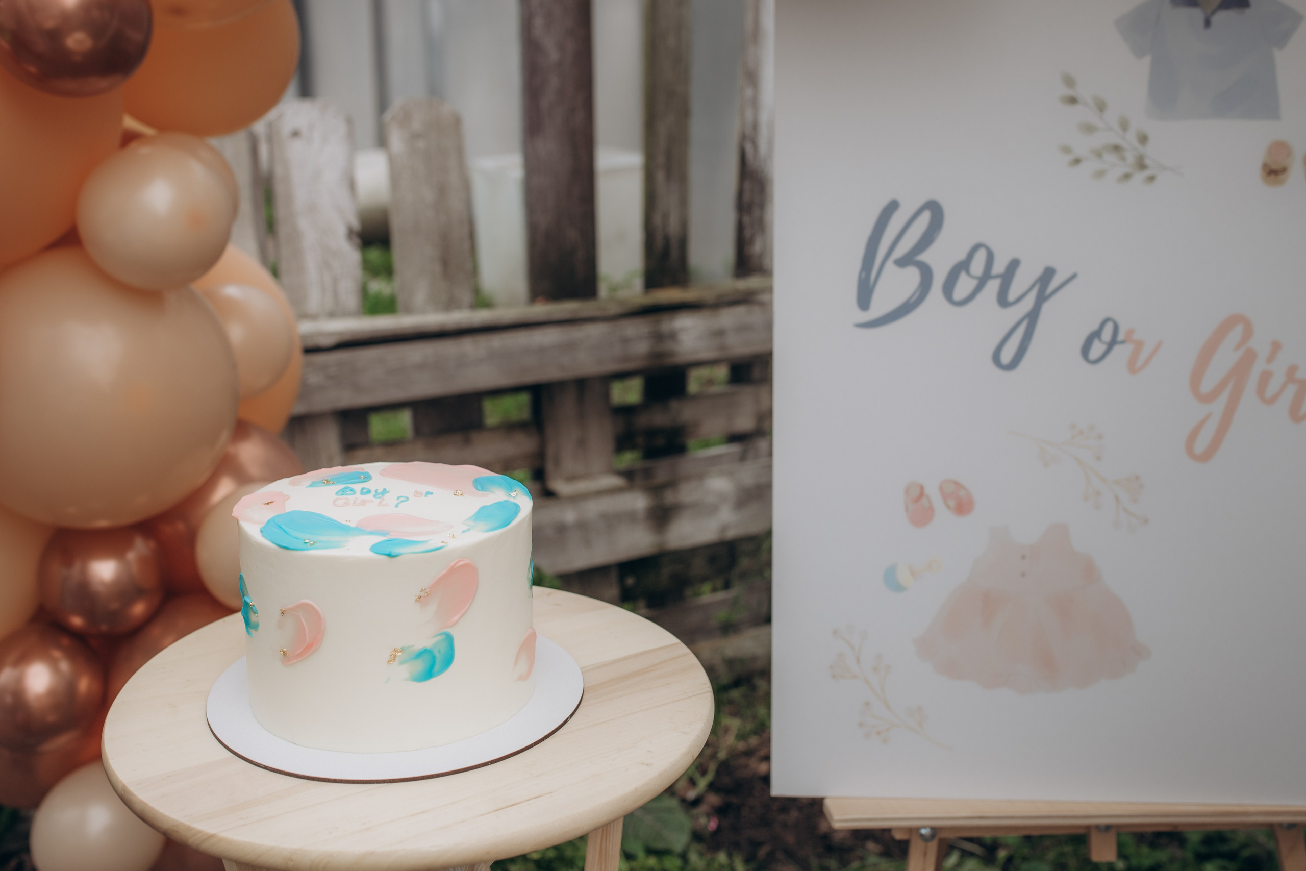 Гендер пати. Семейный и домашний фотограф в Москве и МО Королева Валерия