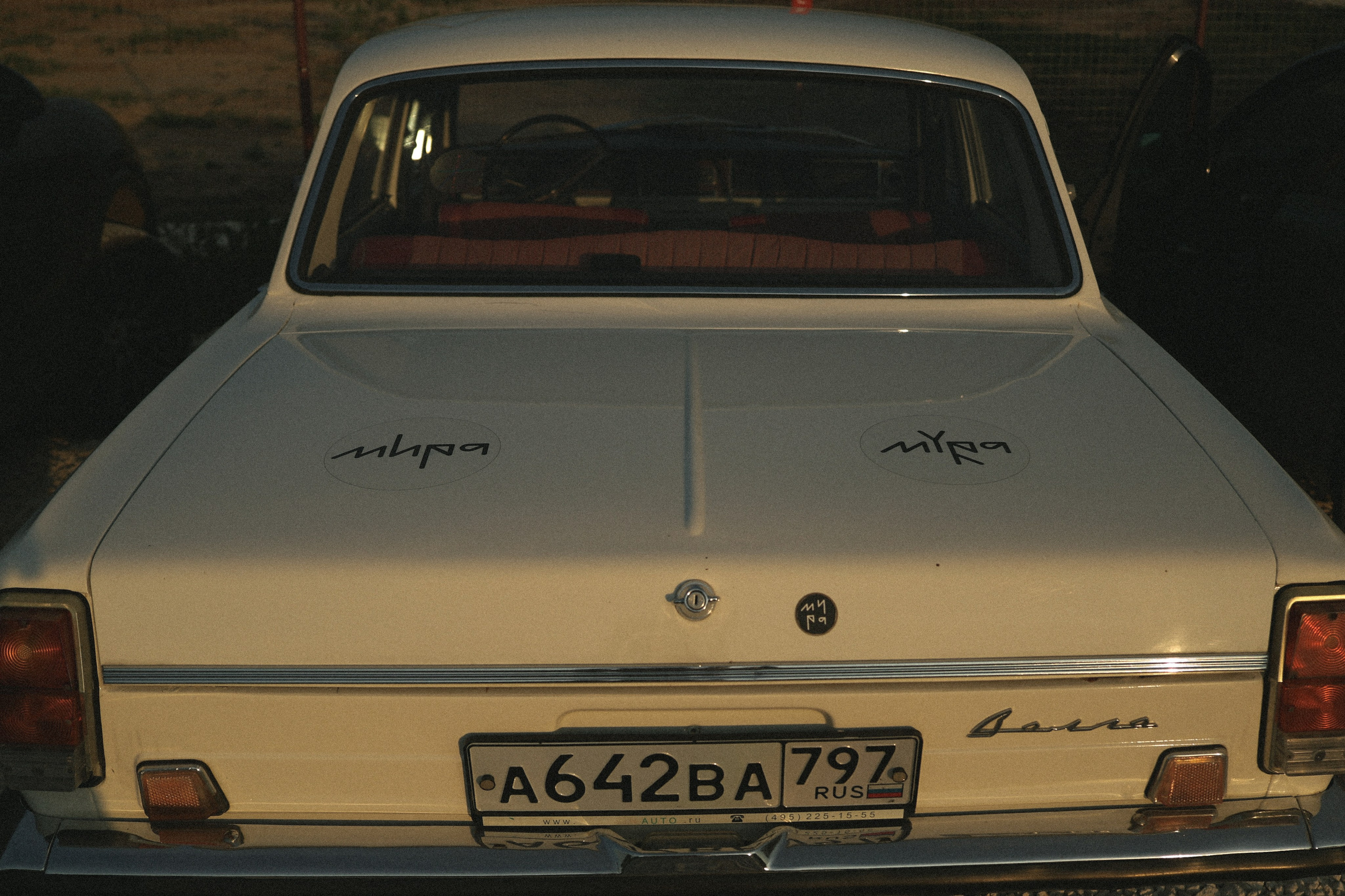 Mira в ГЭС. Фотограф во Владимире, Москве и Суздале — Полина Романычева