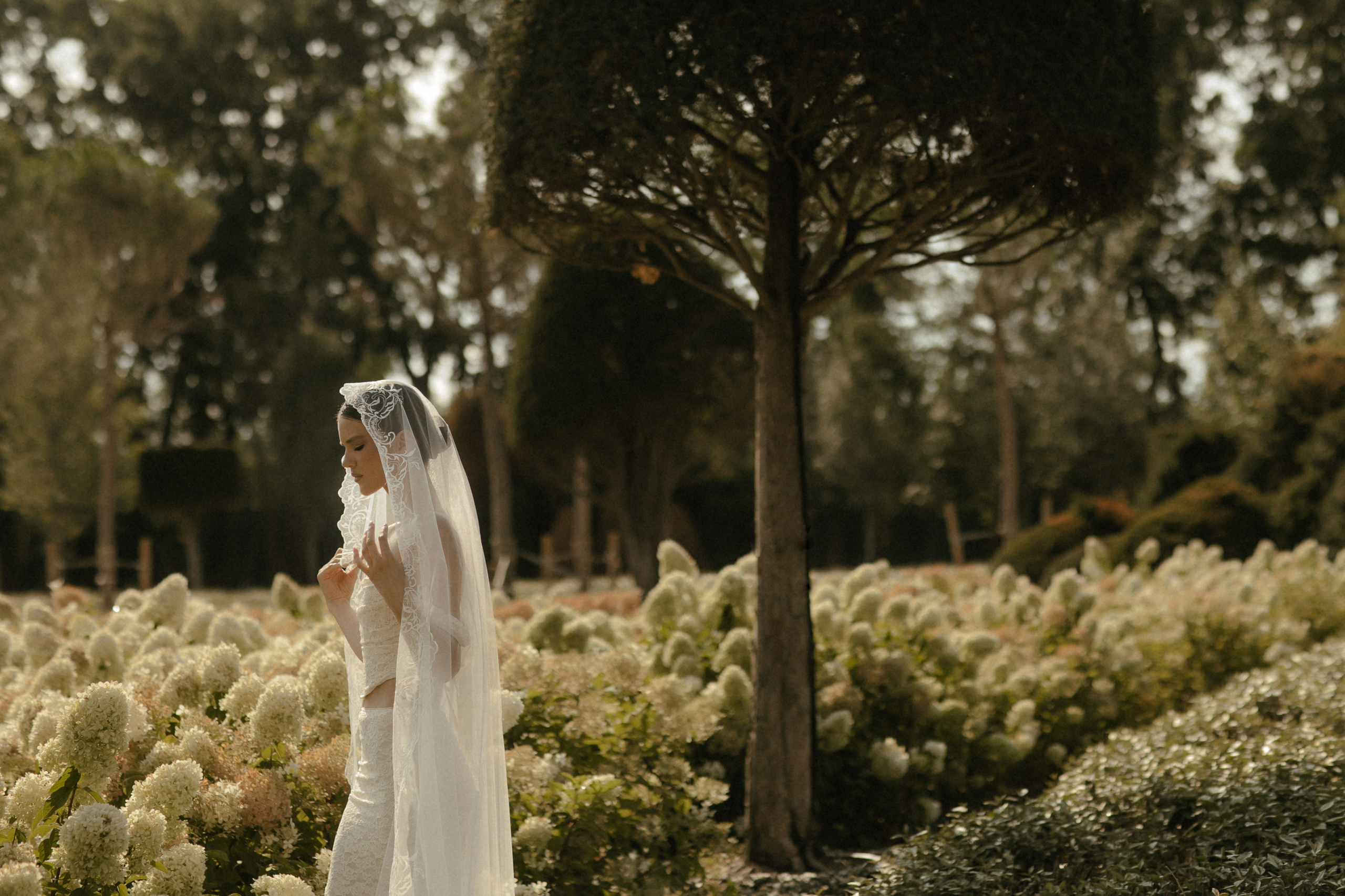Нежное утро невесты в парке. Свадебный фотограф в Краснодаре и по всему ЮФО и Миру Ольга Гусева