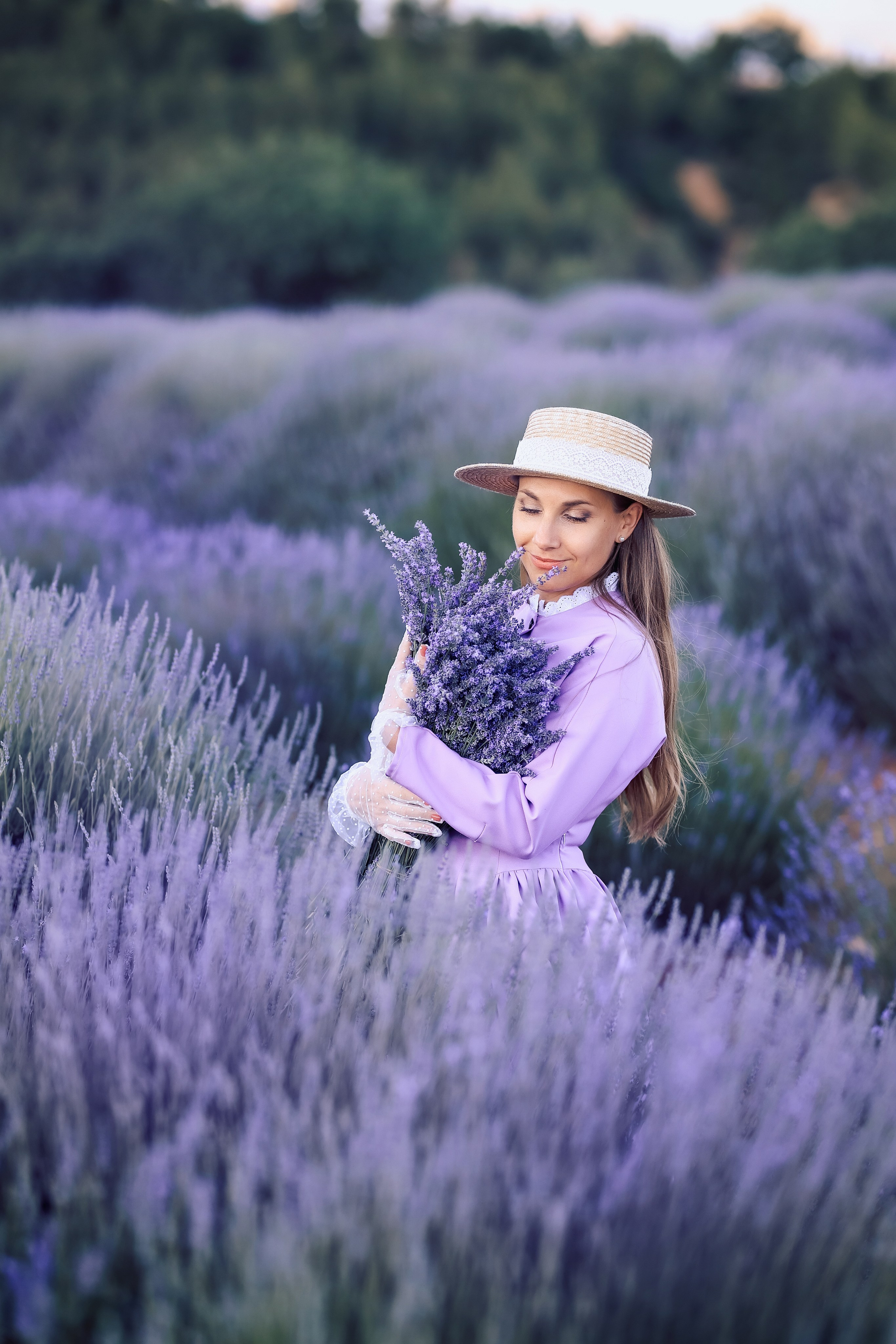 Lavender fields in Turkey