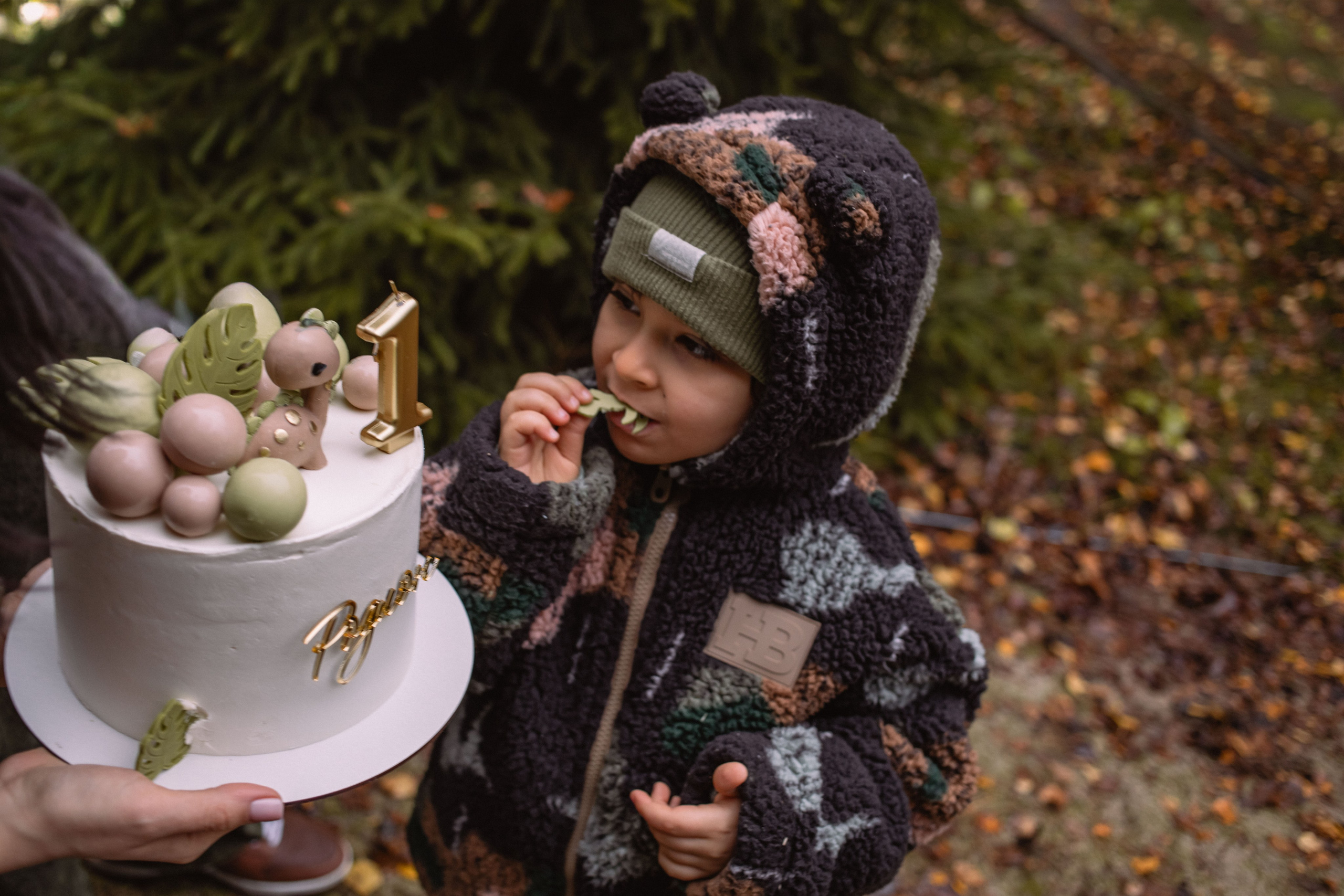 Родя 1 годик. Фотограф Алина Гашникова