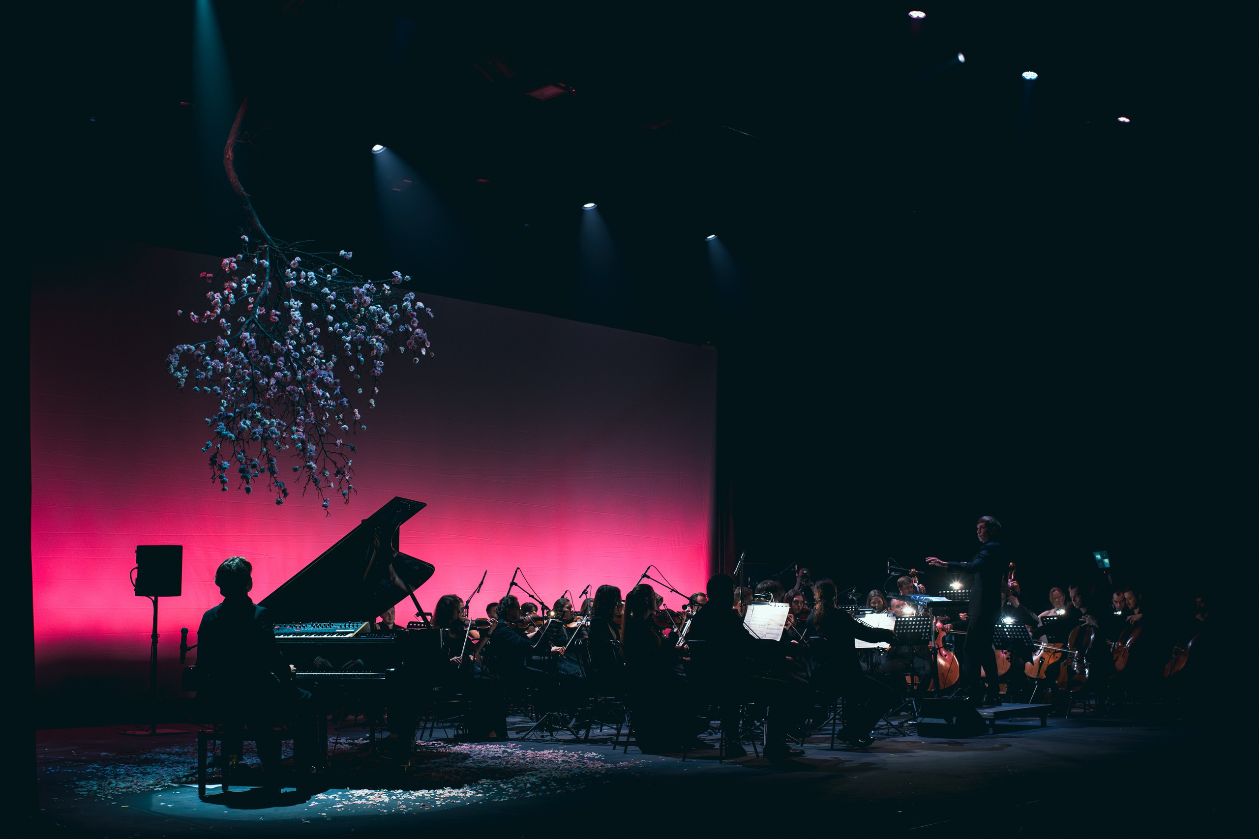 Никола Мельников / 2024. OOPS