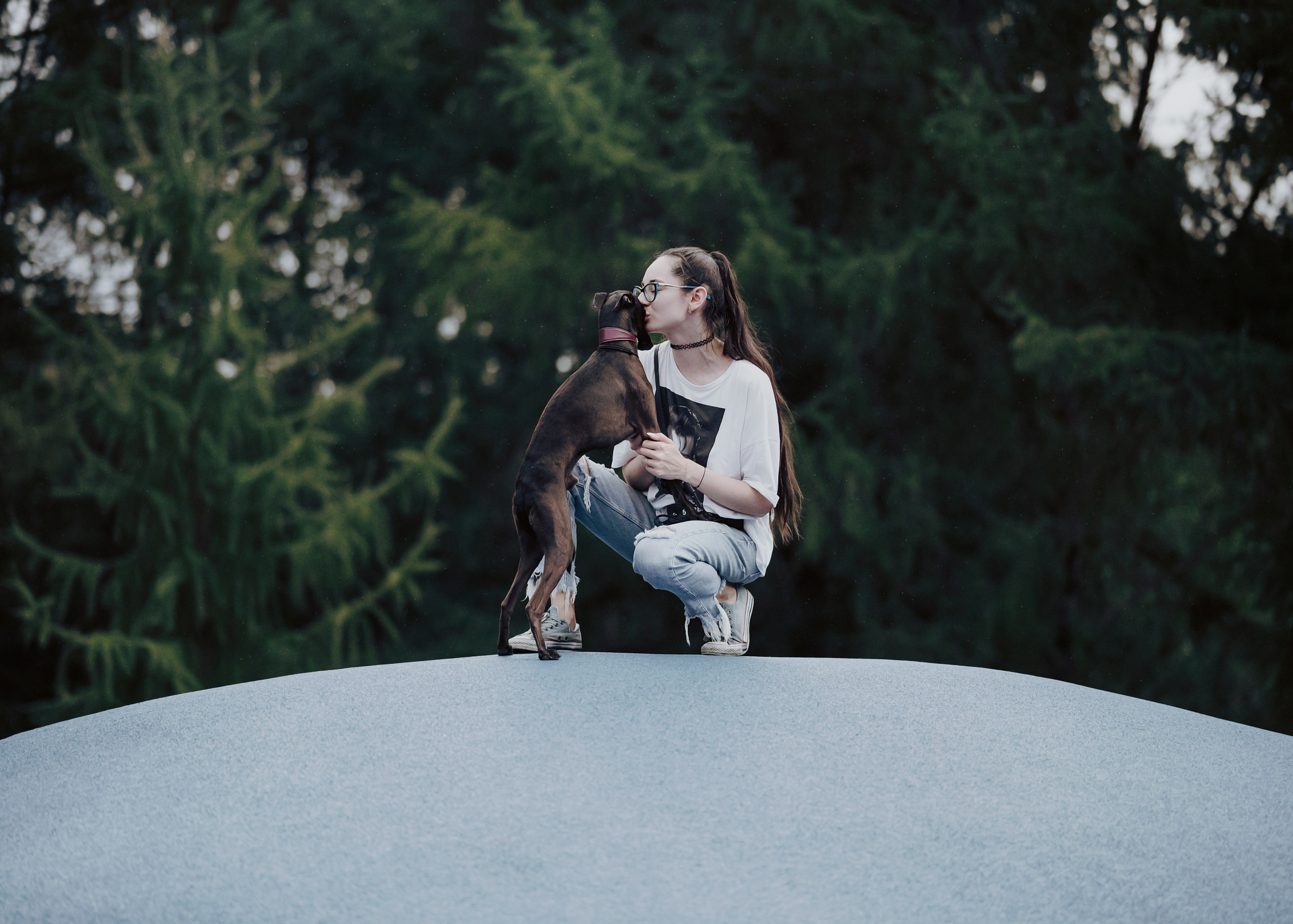 Дофи. Фотограф- анималист Александра Матвеева