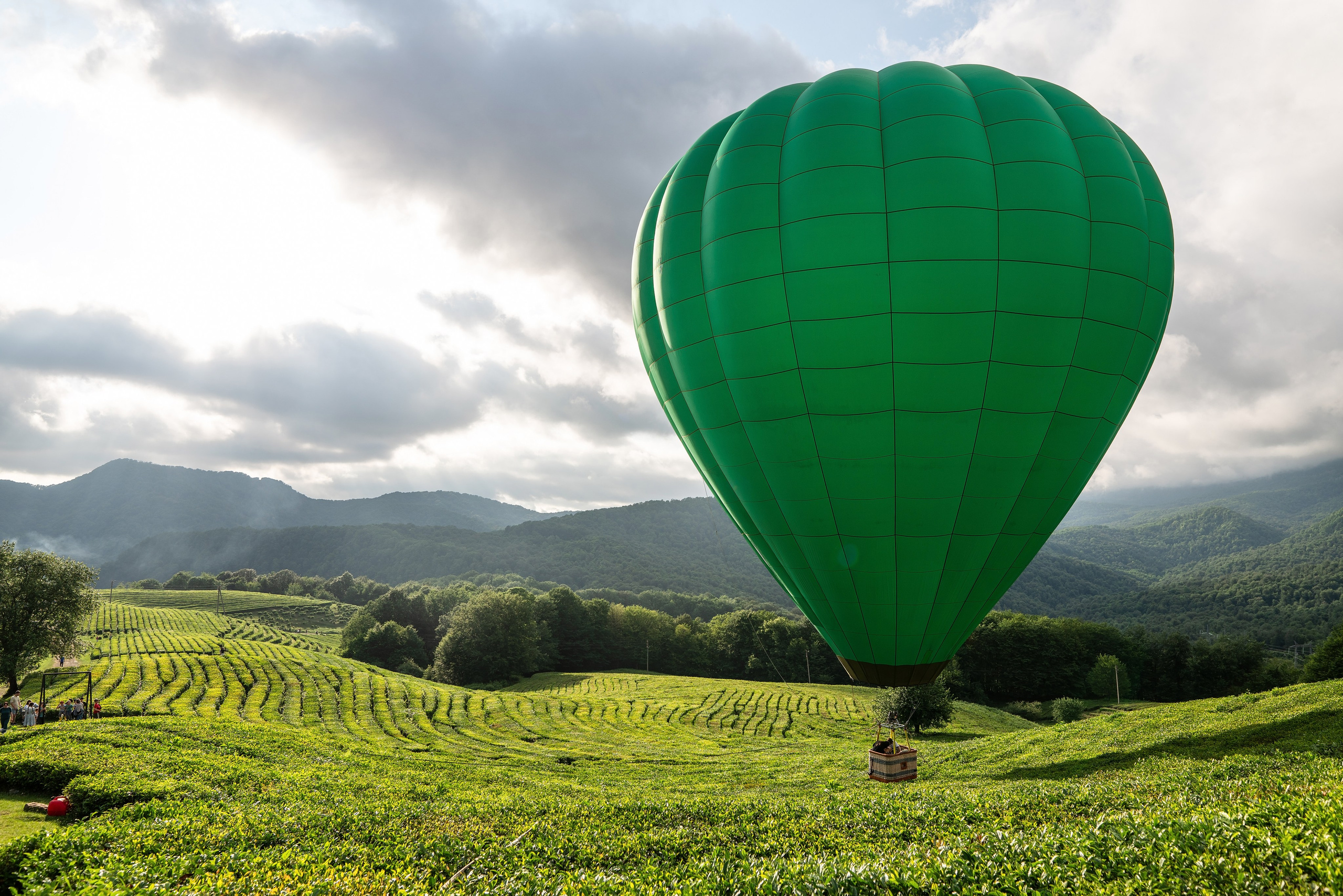 Фотограф на праздник Сочи. Фотограф Сочи