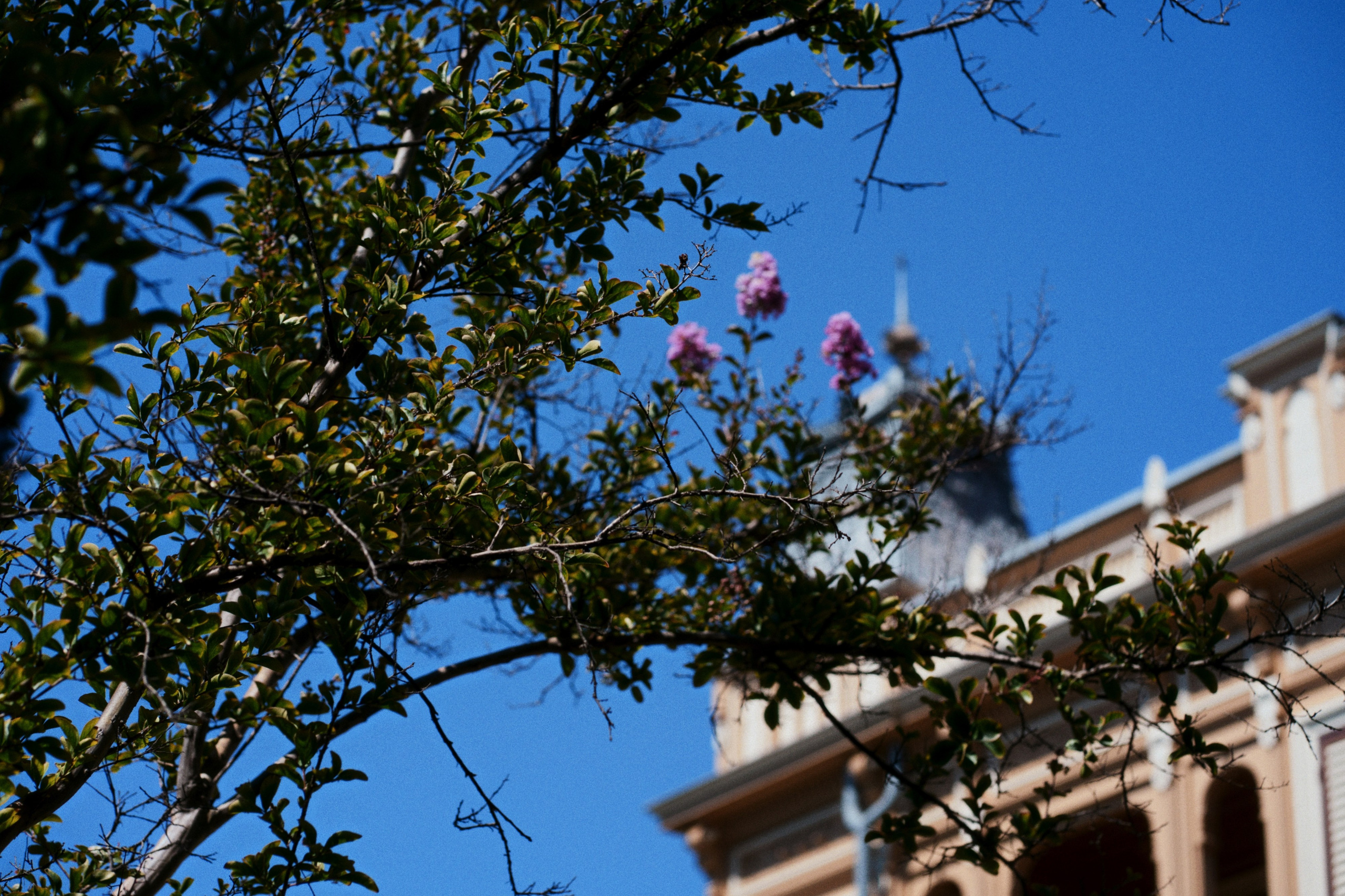 Büyükada х Heybeliada, Istanbul / Türkey SS25. Фотограф Юрин Евгений