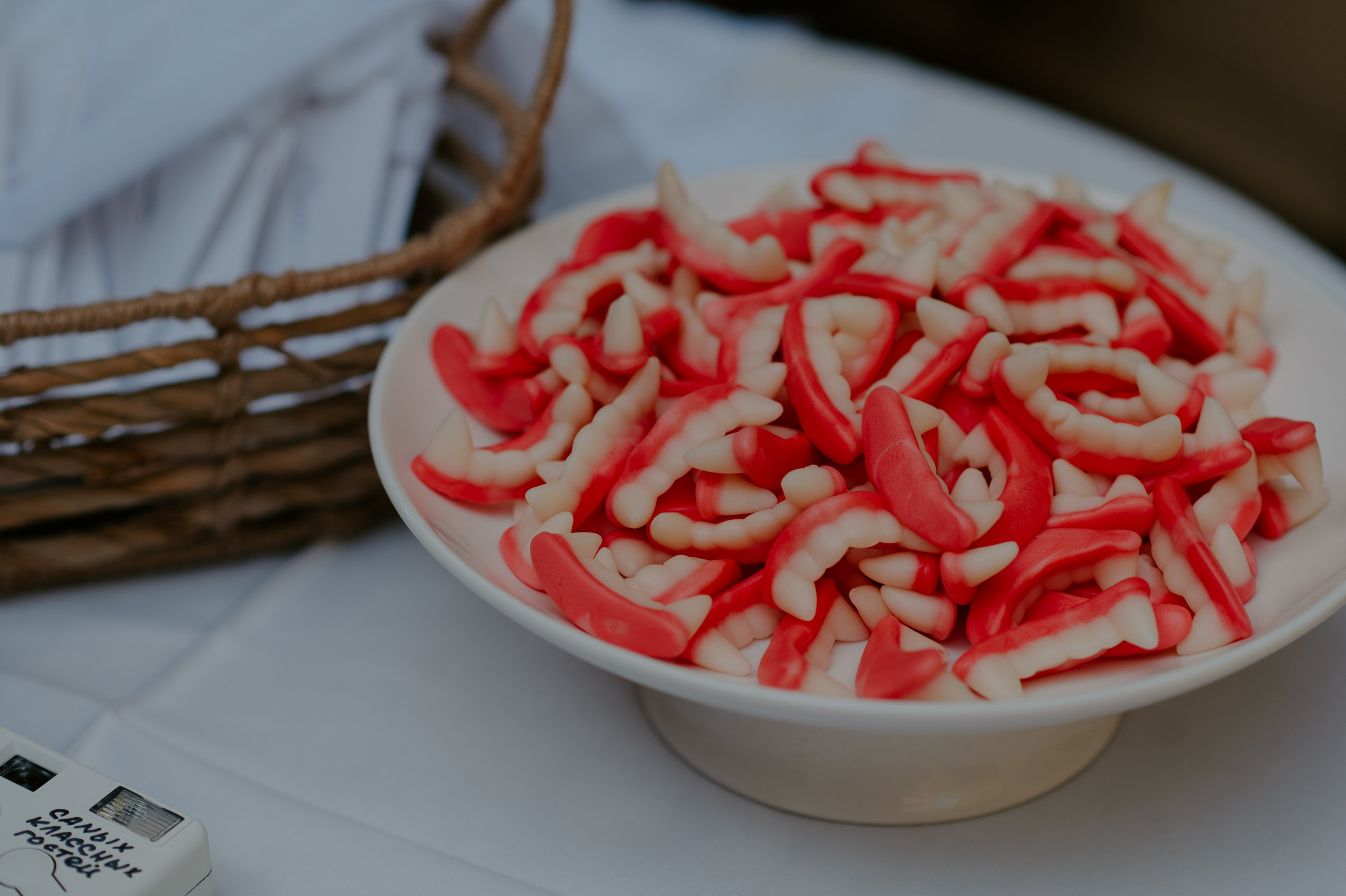 Жить вечно. Свадебный, репортажный и семейный фотограф в Москве Арина Зак