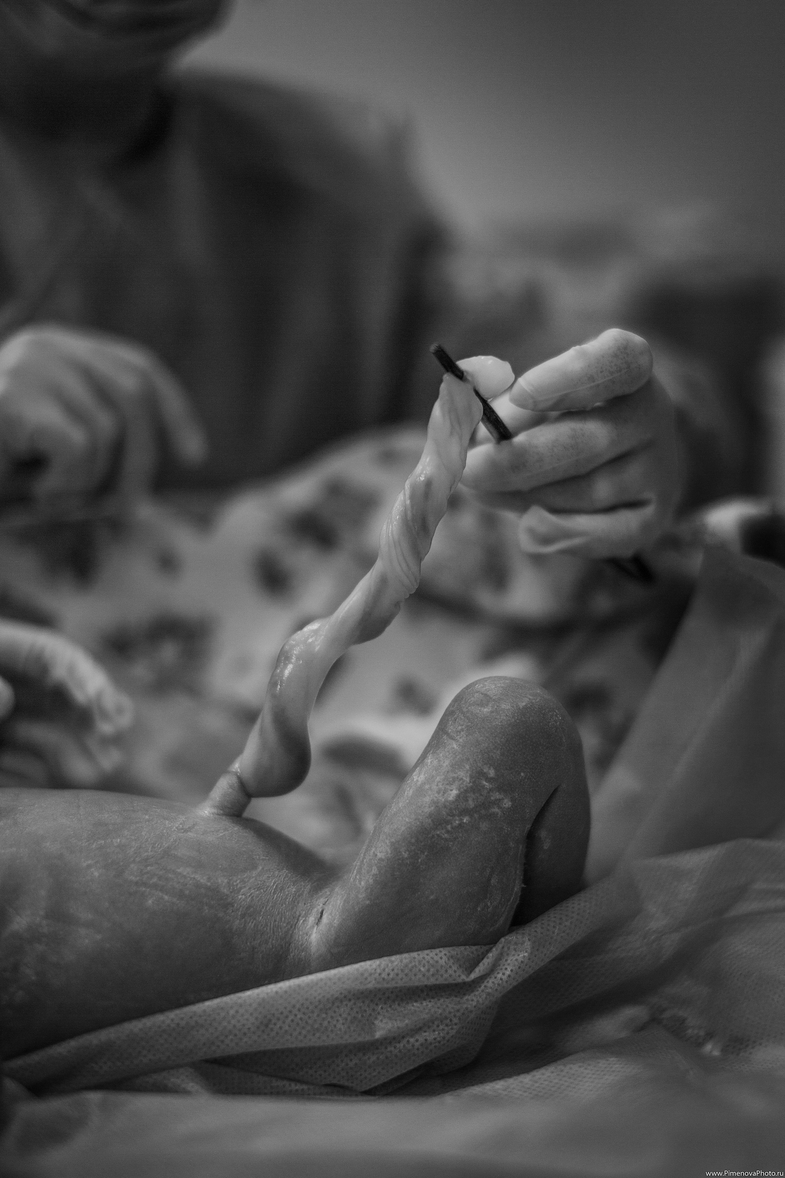 Истории. Семейный и детский фотограф в Петрозаводске