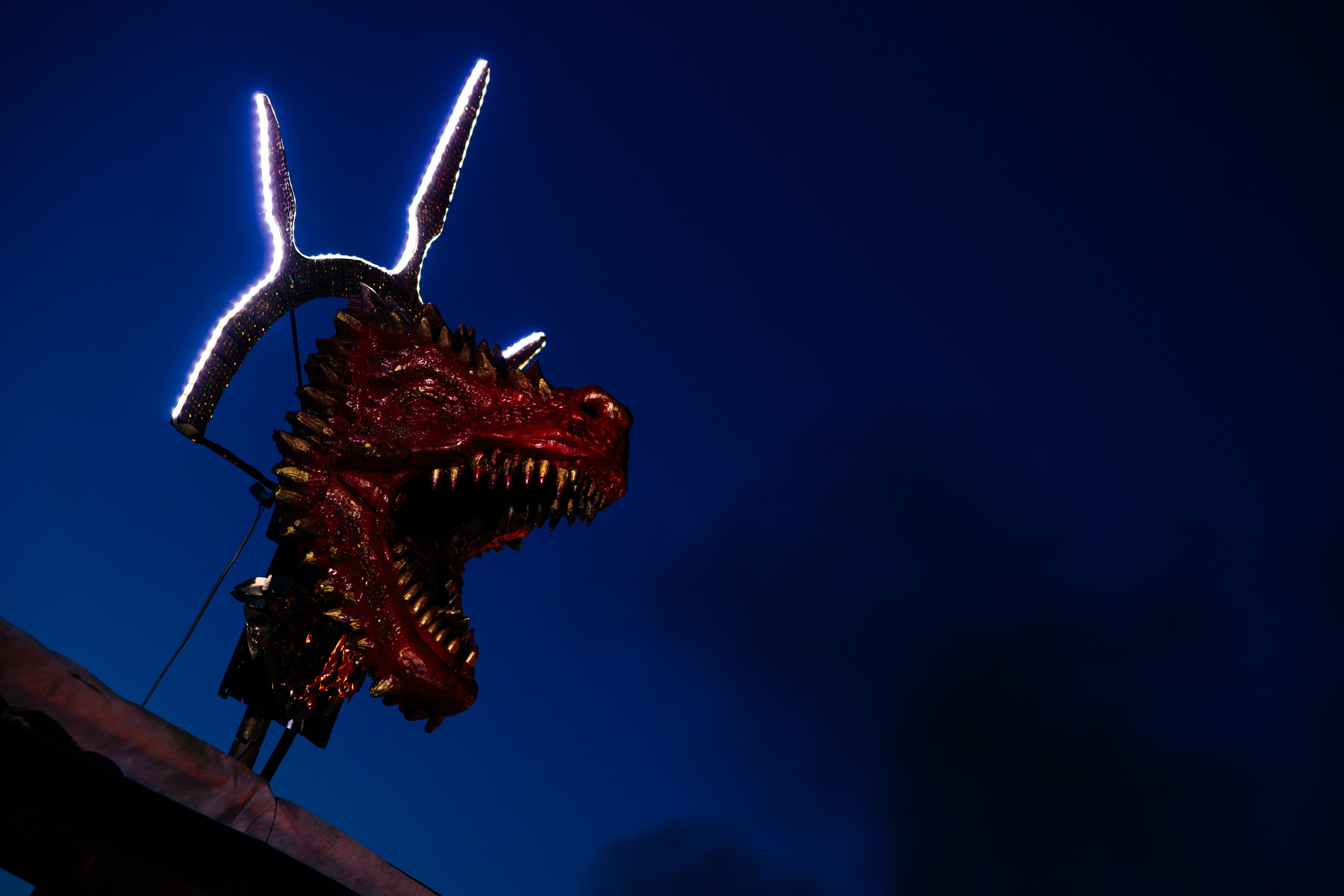 ХОЛОП -тематический праздник. Свадебный фотограф Минск РБ