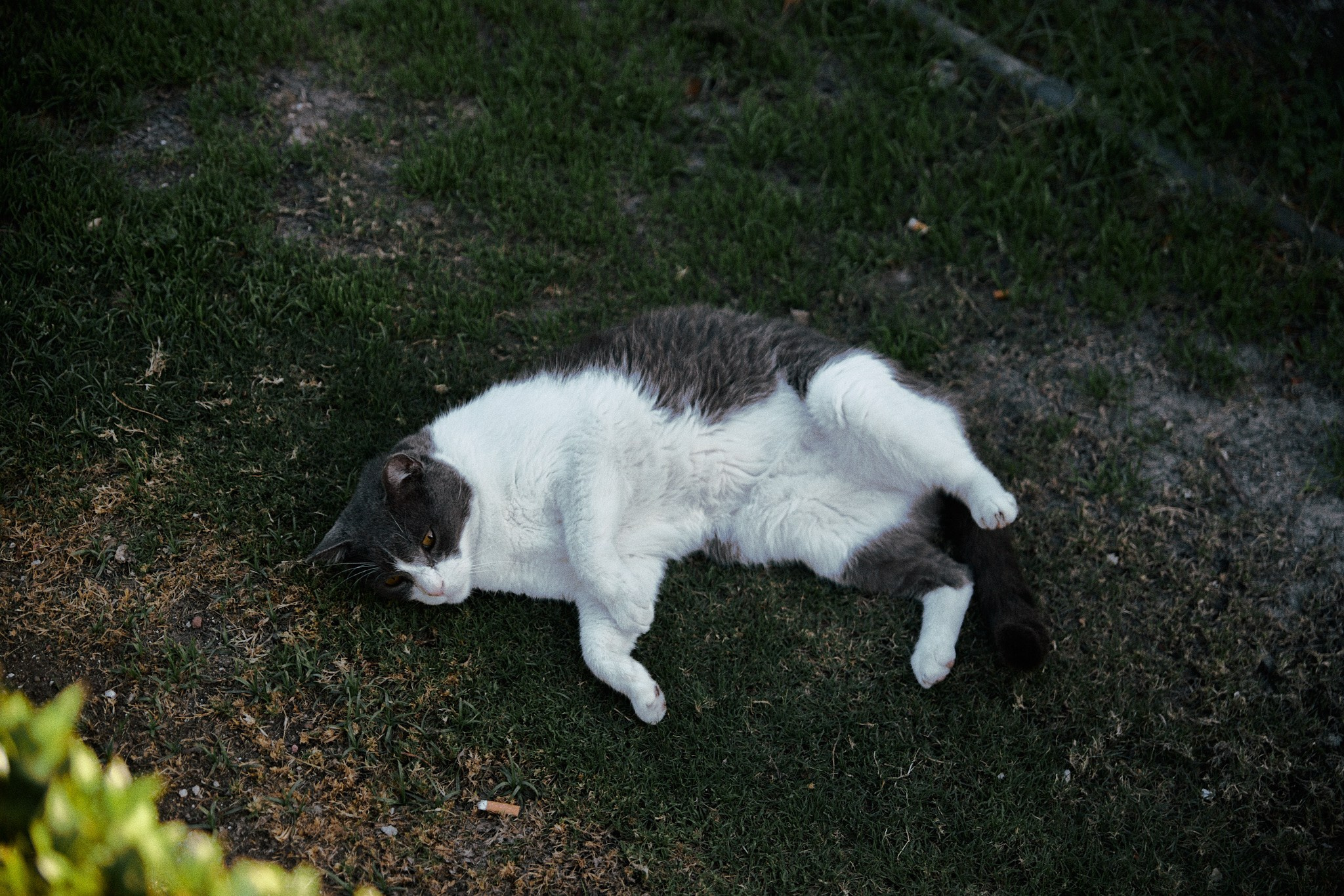 Второй сорт. Jorgis — фотограф в Хургаде / обучение фотографии
