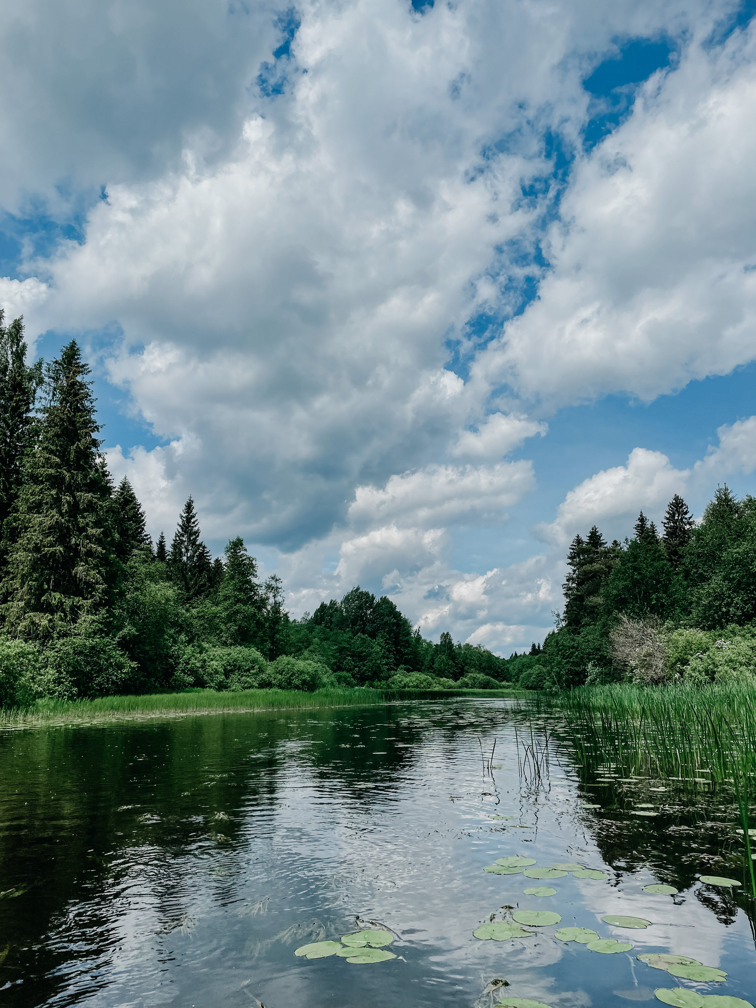 Пейзаж. Фотограф Олеся Шипихина г. Москва