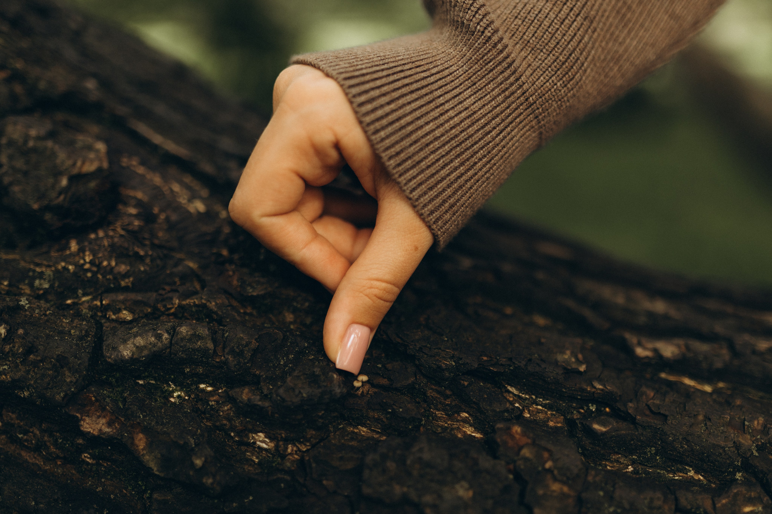 Последний летний день. Семейный фотограф в Москве и МО Маша Забудская