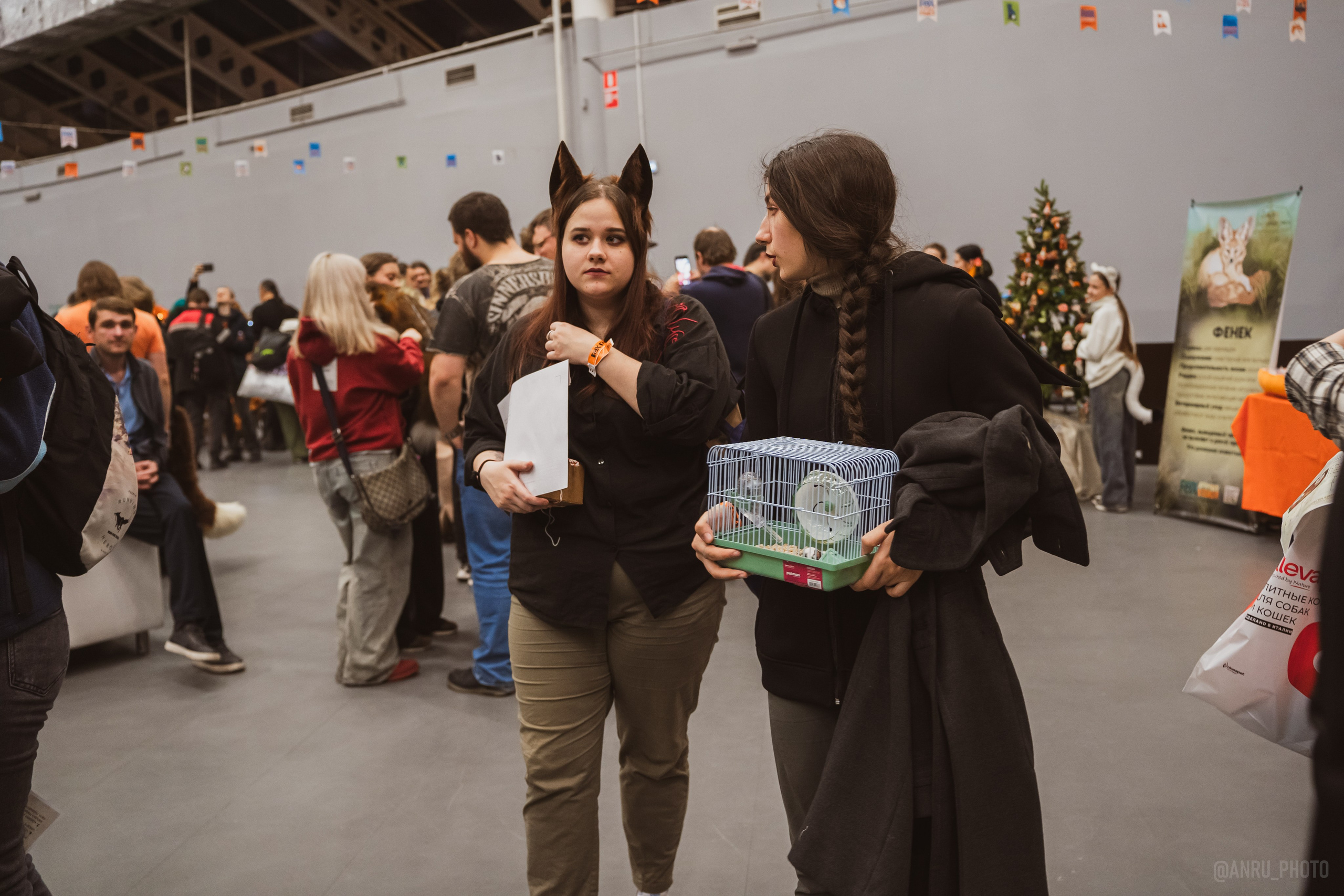 Fox Family fest. Репортажный фотограф Анастасия Рубцова