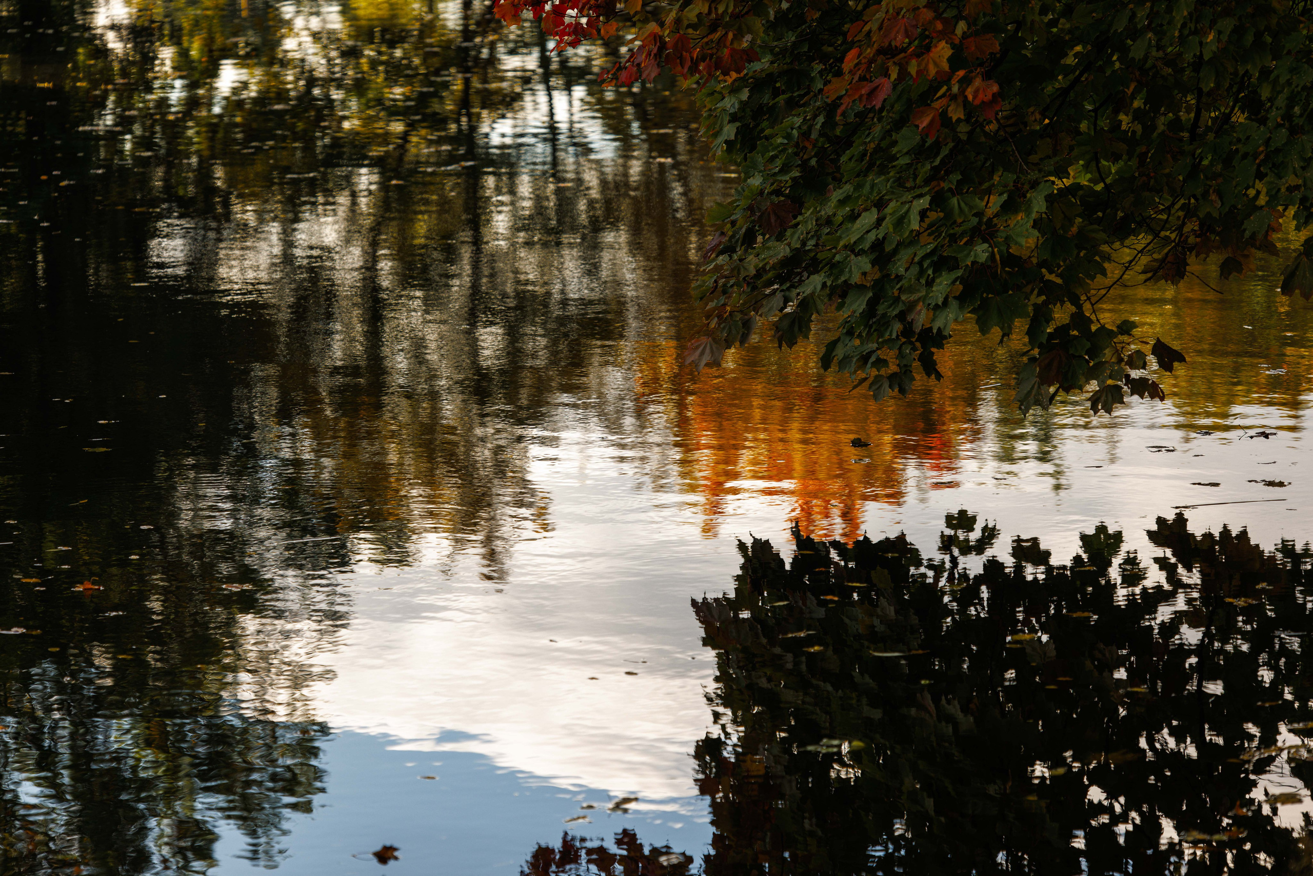 Парк Екатерингоф. Фотограф Балаев Михаил